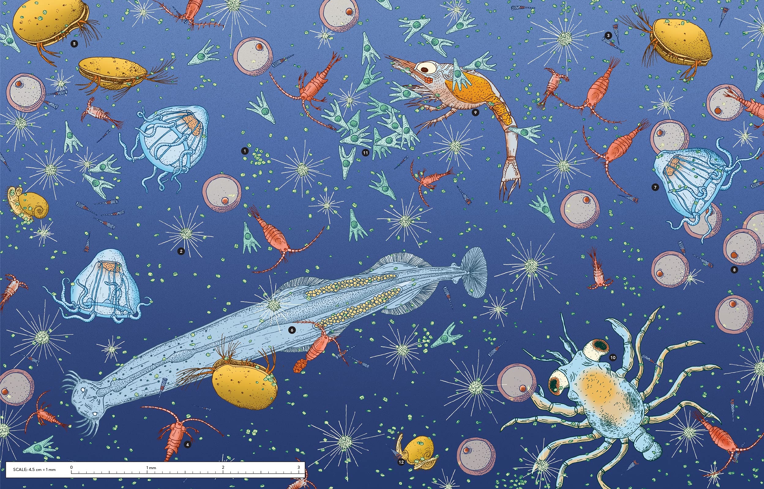 Unseen Worlds: Real-Life Microscopic Creatures Hiding All Around Us - Image 4