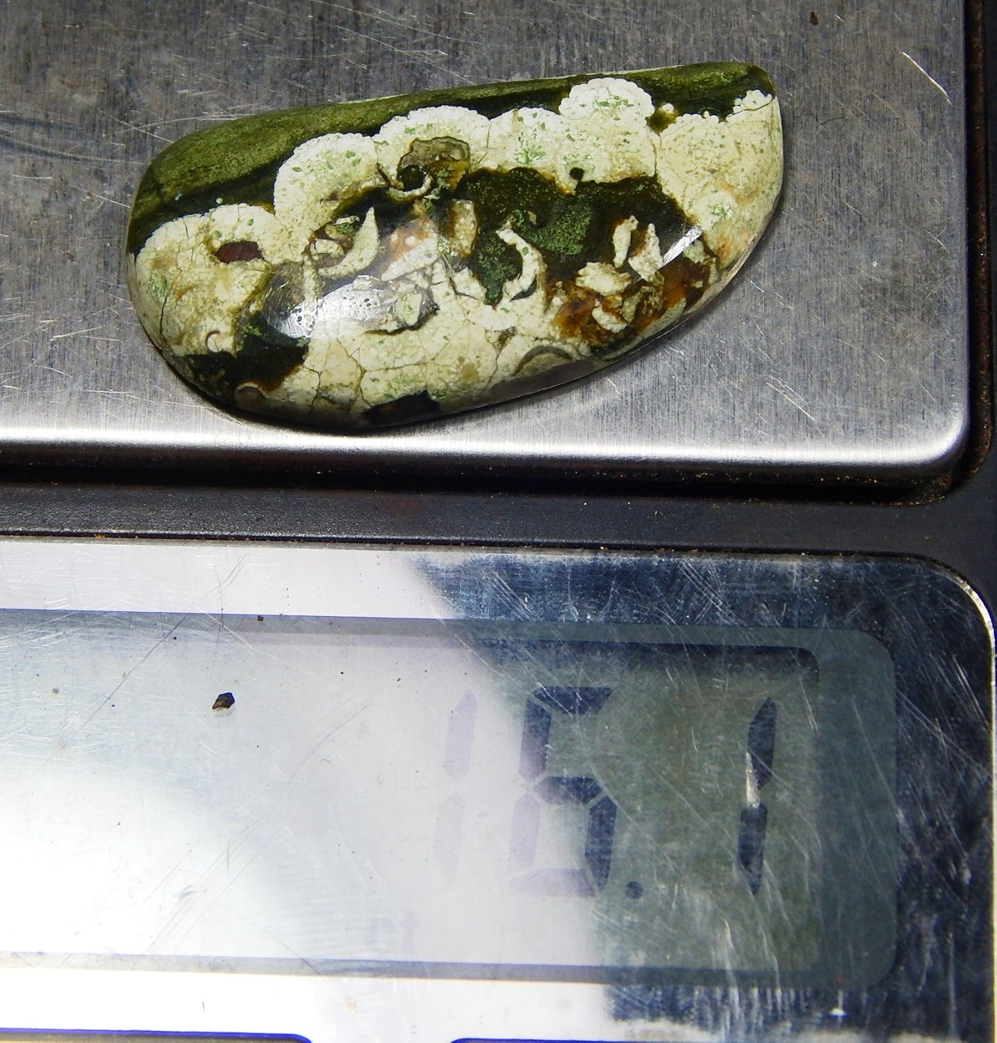 Rainforest Jasper Gemstone Australian Rainforest gems Jewels 16cts, stone, Jasper, stone, Jasper
