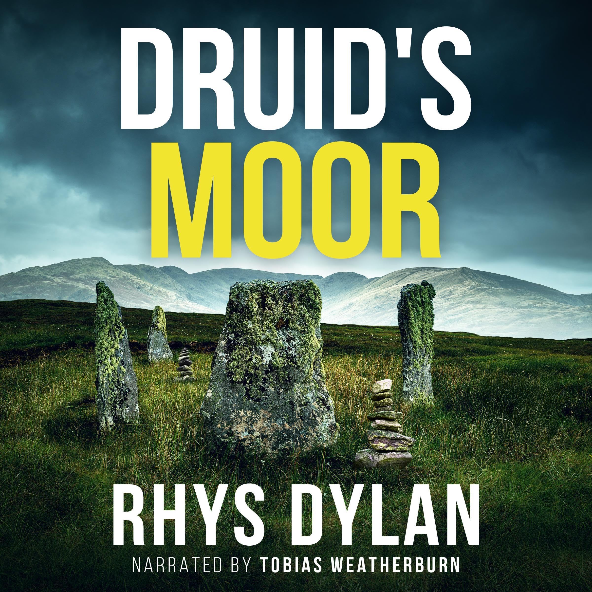 Cover art for Druid's Moor