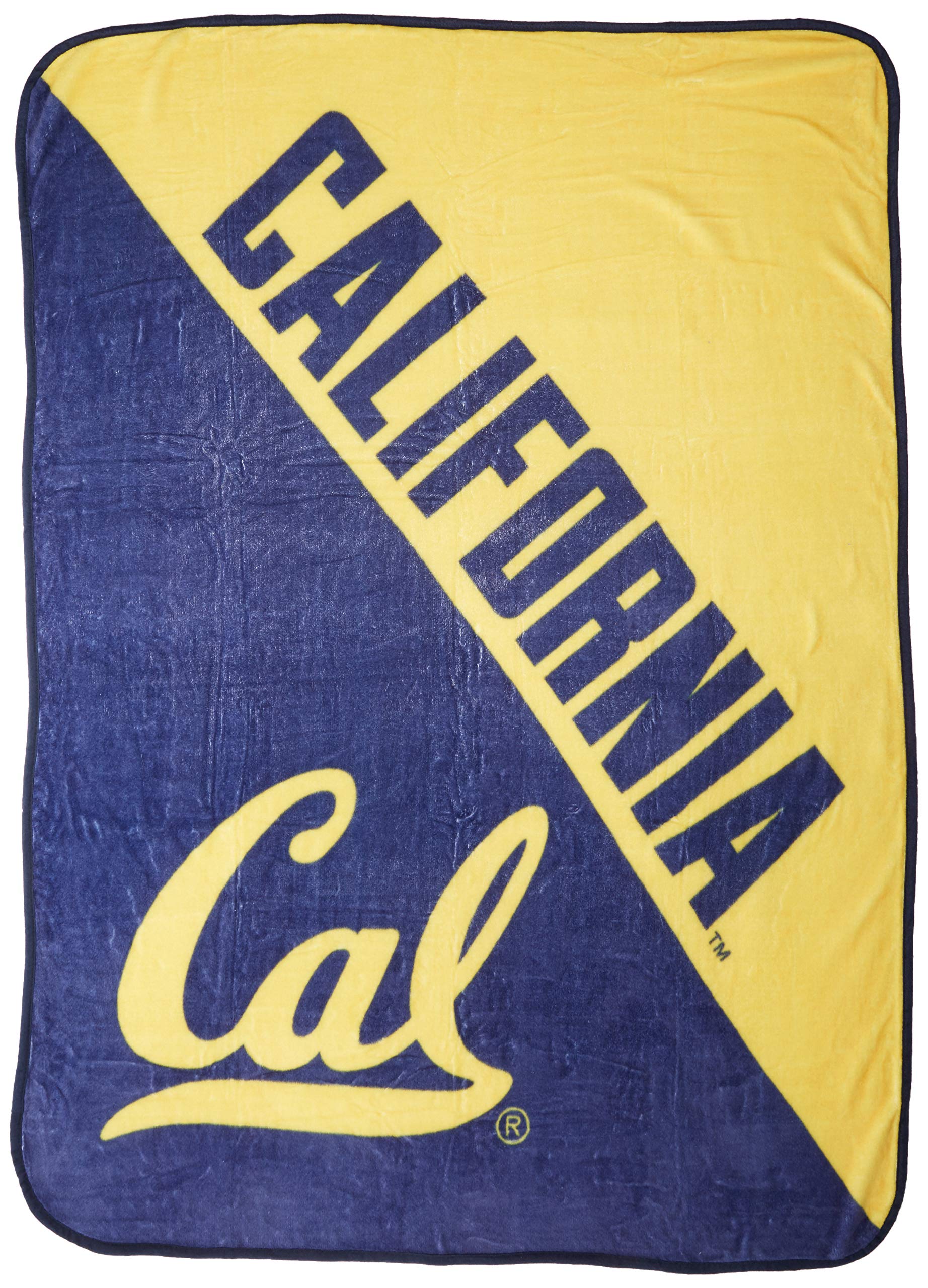 The Northwest Company Michigan State Spartans "Halftone" Micro Raschel Throw Blanket, 46" x 60" , Green