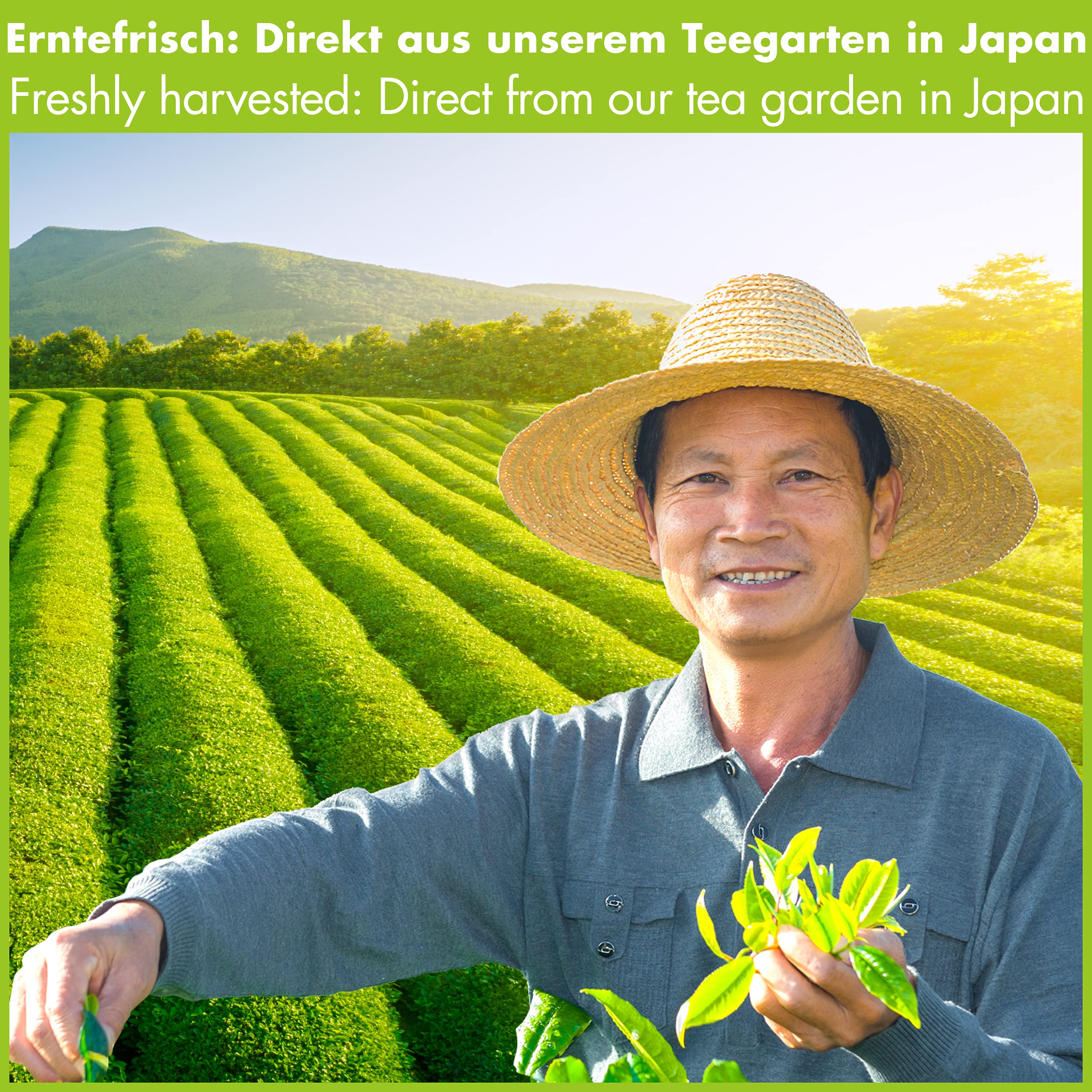 Zielona herbata Matcha w proszku organiczna do pieczenia - Oryginalna Japońska Matcha do Gotowania w najlepszej kulinarnej jakości (100g)