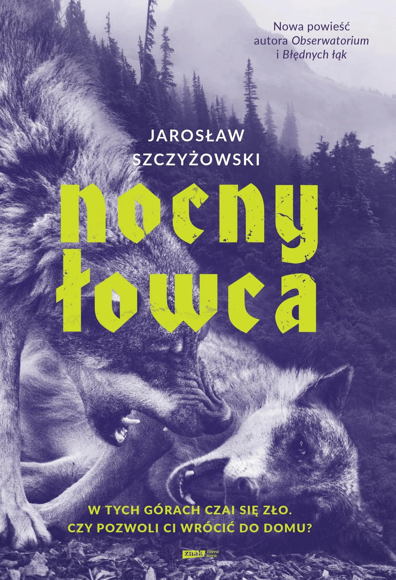 Nocny łowca