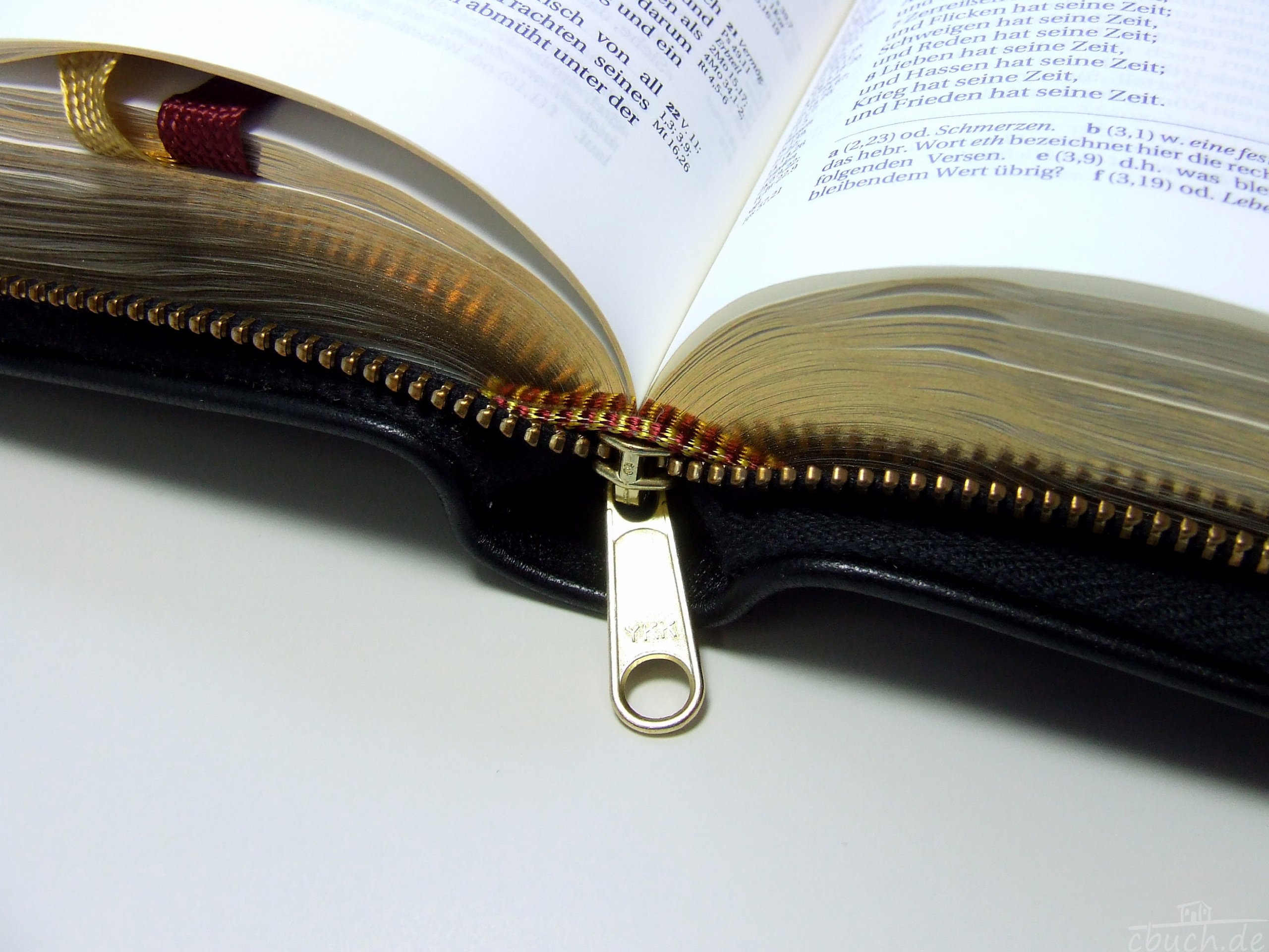 Schlachter 2000 Bibel - Taschenausgabe (Softcover, schwarz, Goldschnitt, Reißverschluss): Taschenausgabe mit Parallelstellen, Kalbsleder-Einband ... / Reißverschluss / Goldschnitt / Fadenheftung
