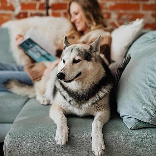 Miniatura 7 de BASICOS Kirkland Signature Aller-Flo Propionato de fluticasona (glucocorticoide) 50 mcg, aerosol nasal para alergias (2 botellas 288 aerosoles