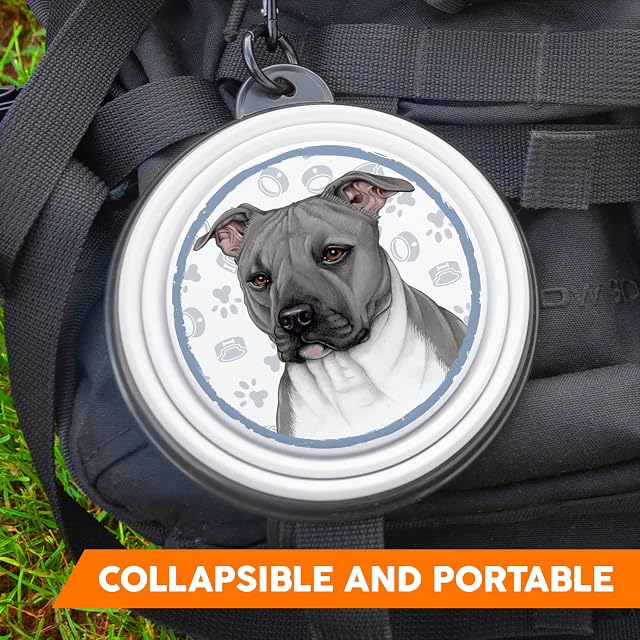 Foto 2 de 7 de Pitbull - Cuenco plegable para perros de silicona portátil con mosquetón para paseos y senderismo con tus…