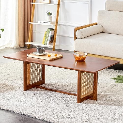 TesNus Mesa de centro de madera maciza, moderna mesa de centro de ratán pequeña con estante de almacenamiento de 2 niveles, mesa de té rectangular