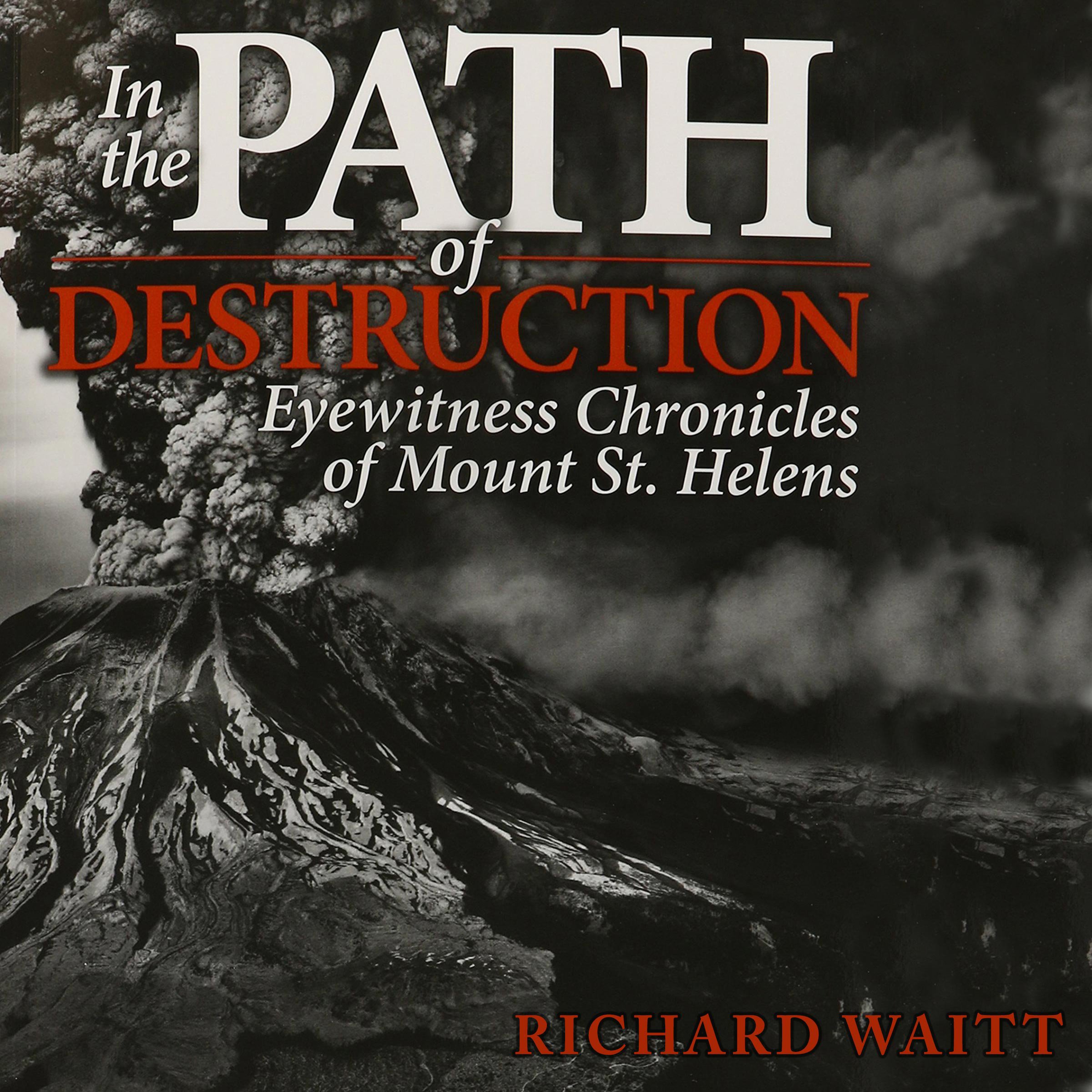 Cover art for In the Path of Destruction