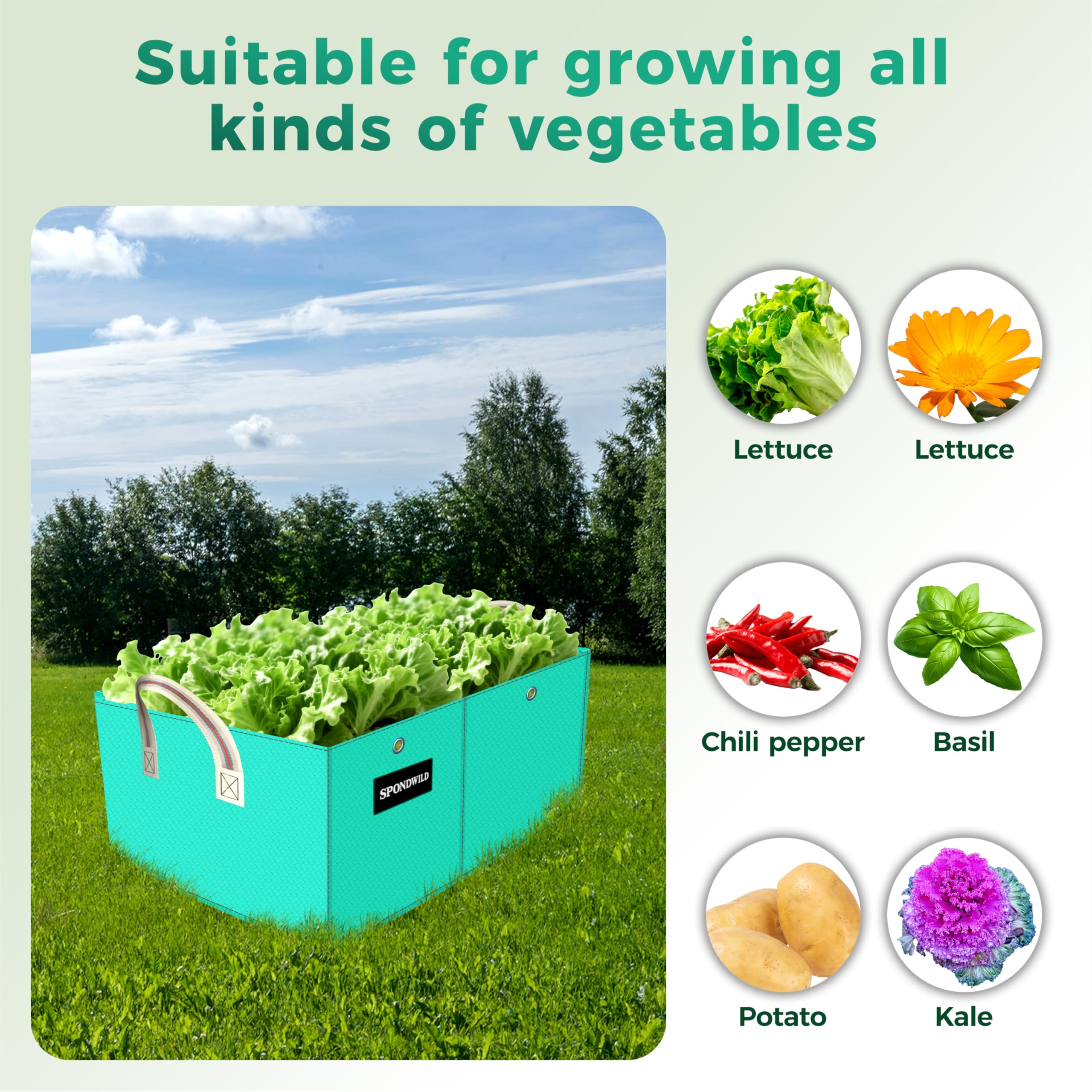 Sac de Culture rectangulaire 511 L, 183×91×30 cm, 8 Compartiments, pour tomates, Pommes de Terre, Fleurs, Vert