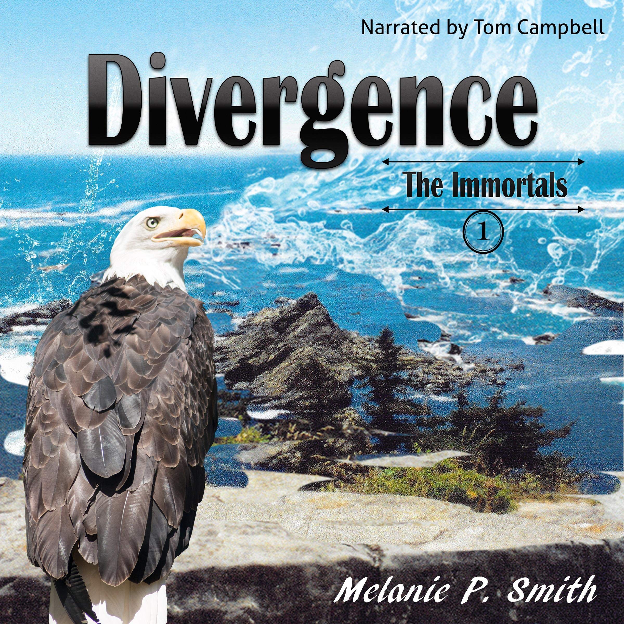 Cover art for Divergence