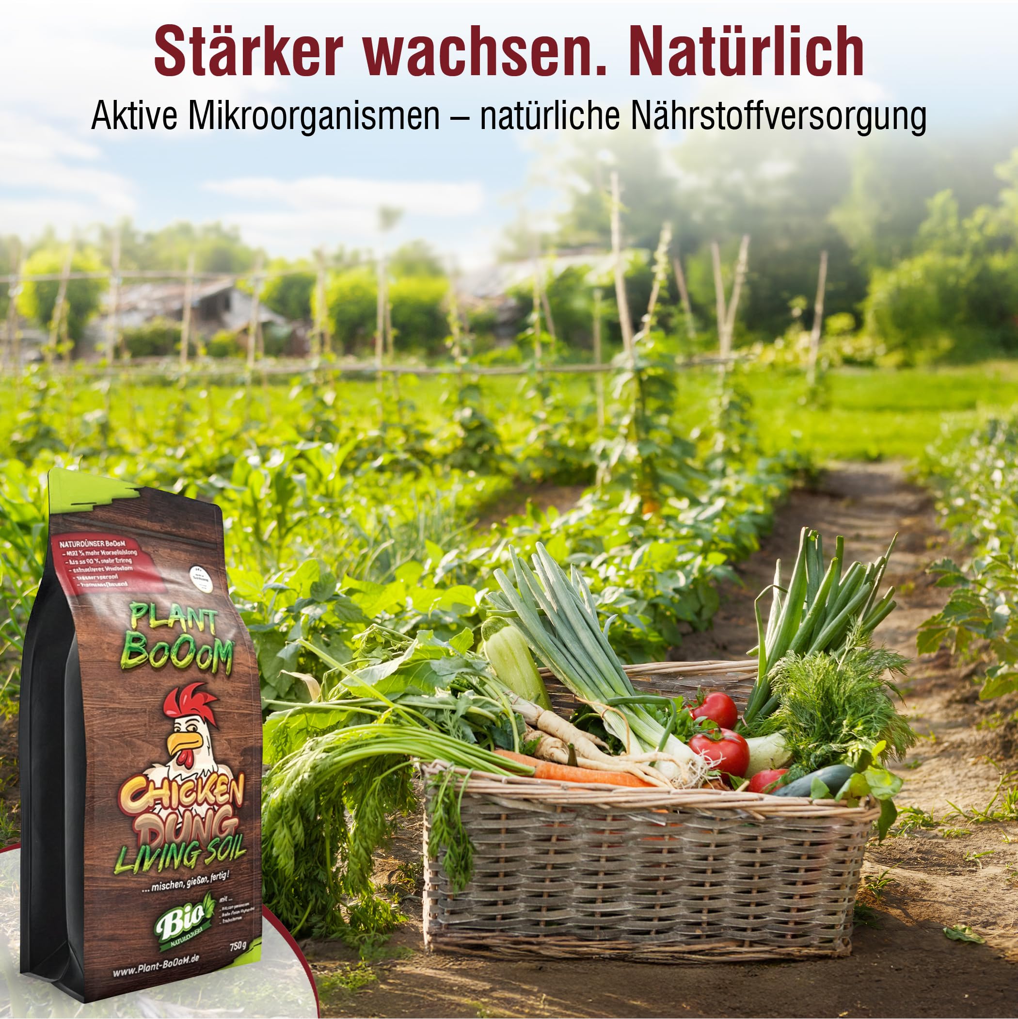 compo herbst-rasen langzeit-dünger Herbstrasendünger main image 1