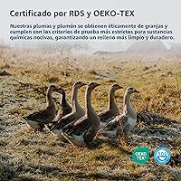 Vista 5 de Almohadas Pacific Coast para cama para dormir de lado y bocarriba, almohadas de plumas y plumón de hotel con funda 100% algodón, soporte medio, a