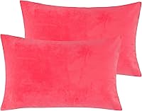 Vista 123 de NTBAY 1 paquete de funda de almohada corporal de terciopelo con cremallera, súper suave y acogedora, de franela mullida de lujo de 20 x 54 pulgadas