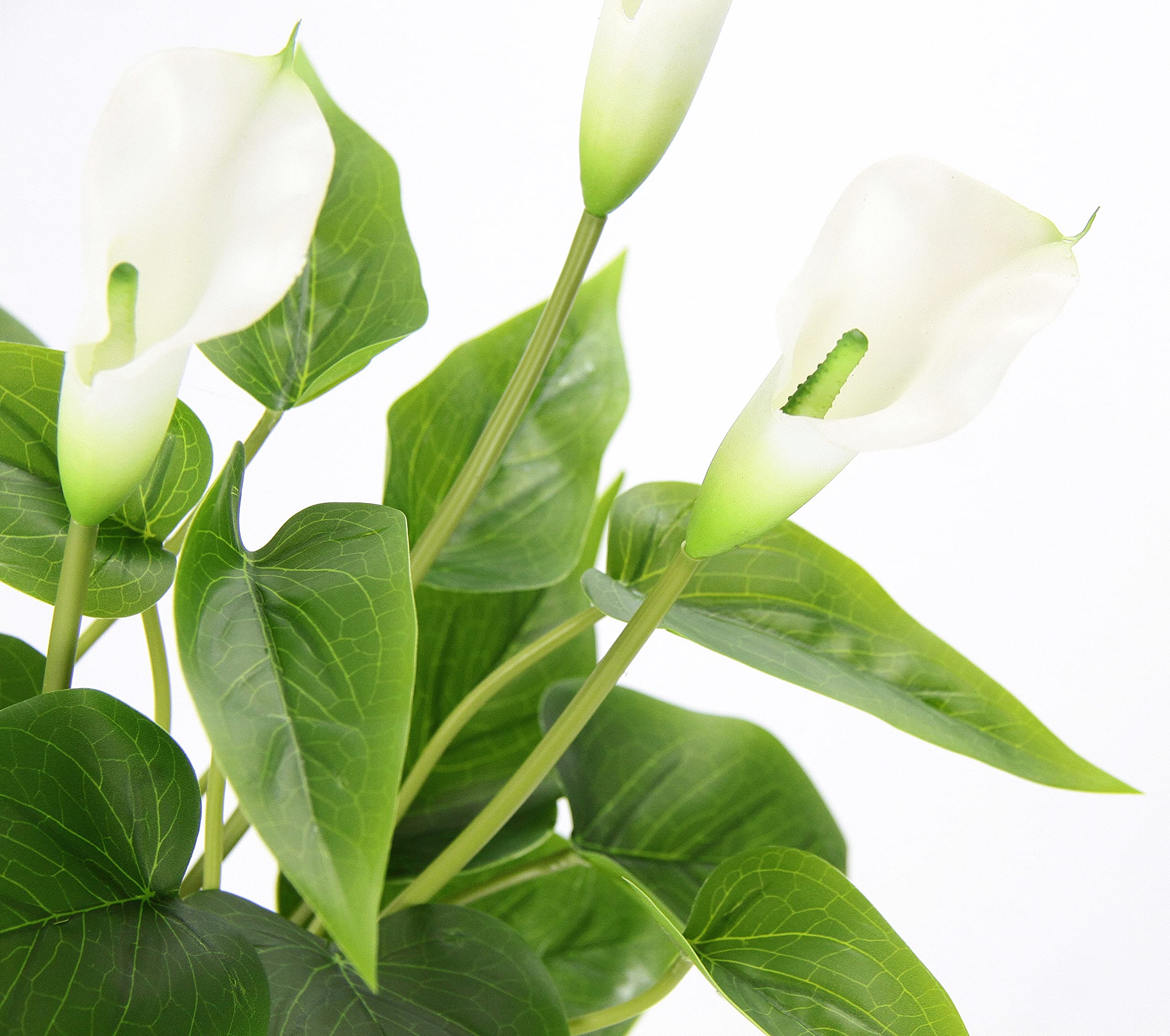 blumenkasten fensterbank obi bellissa Blumenkastenhalter verstellbar  Rasenkante 24