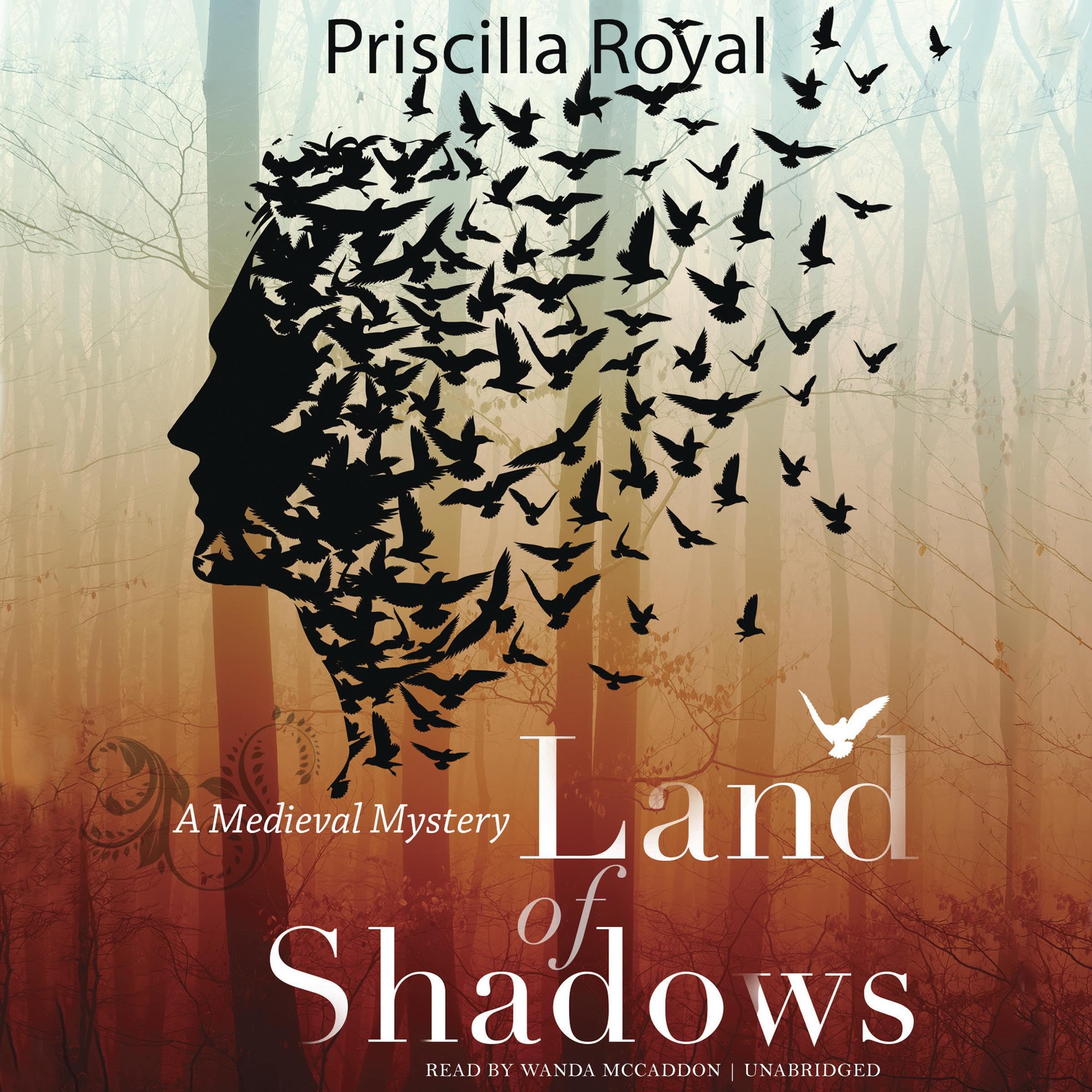 Cover art for Land of Shadows