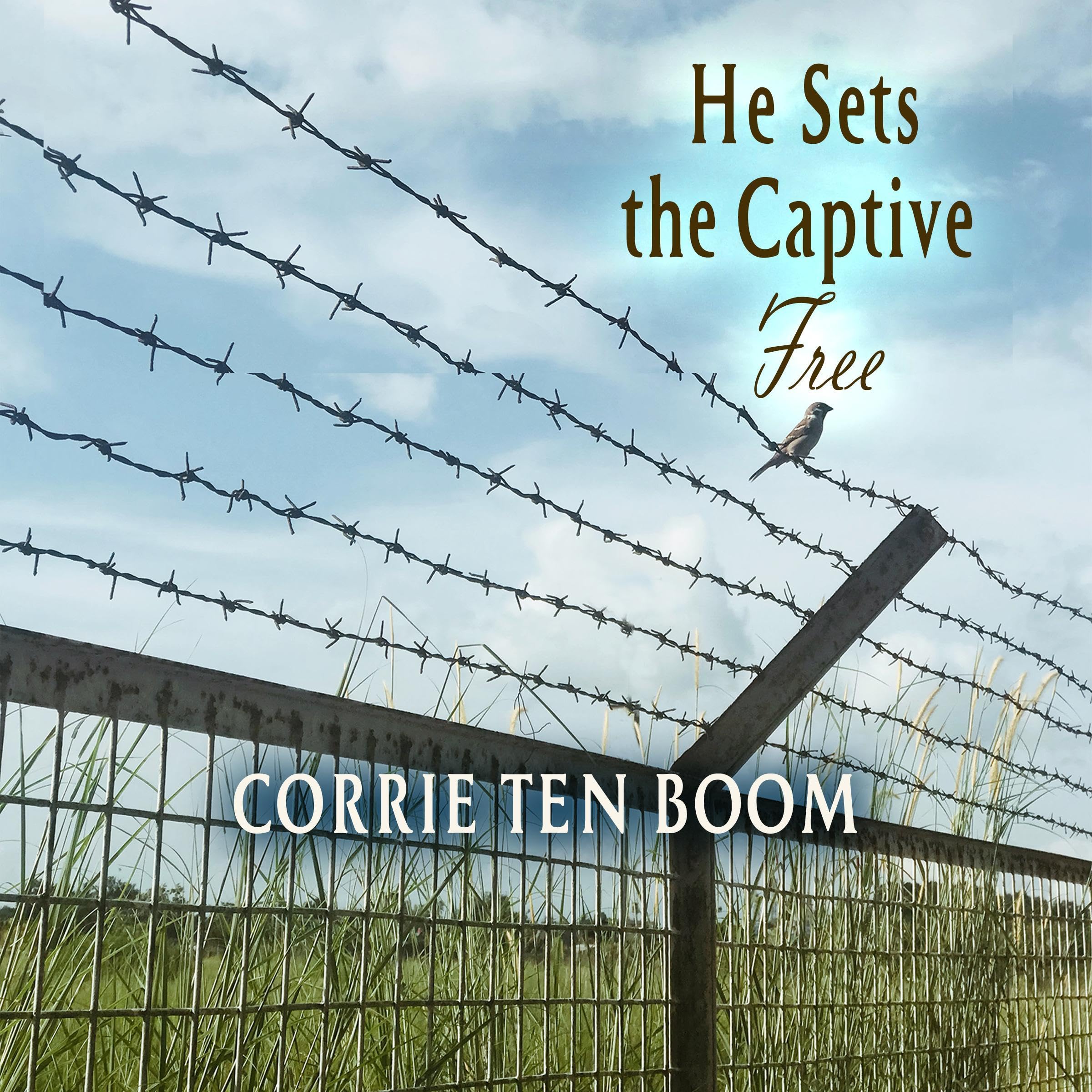 He Sets the Captive Free