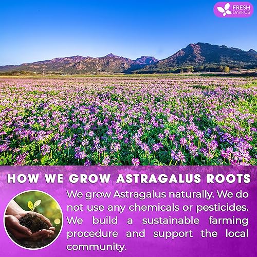 Miniatura 5 de Premium  Musgo marino natural, hace 42 onzas de gel, musgo marino crudo Goldne seco, 100% natural y puro, elaborado en la naturaleza, secado al sol,