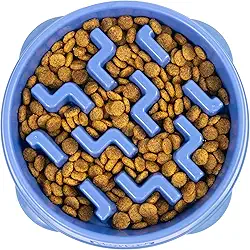 Outward Hound Fun Feeder Slo Bowl, tigela média lenta para cães, 2 xícaras, azul