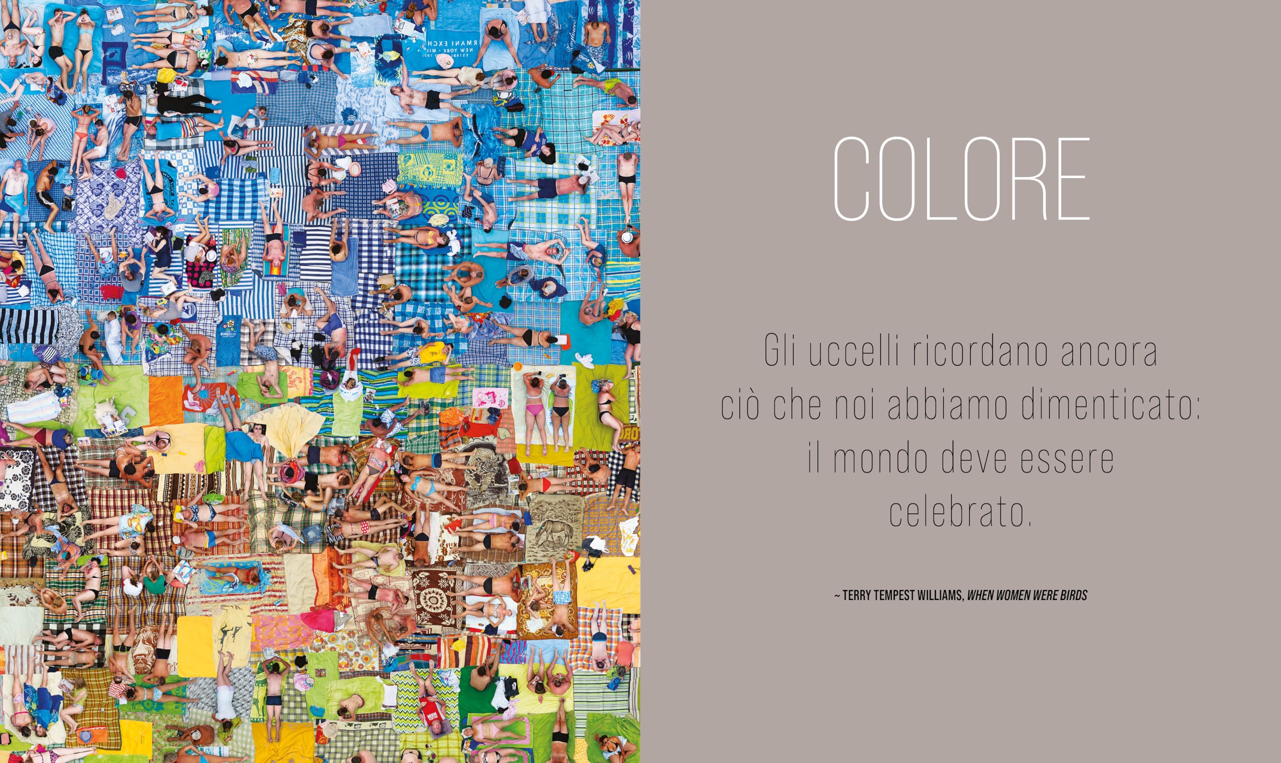 Il mondo dall'alto. Ediz. a colori