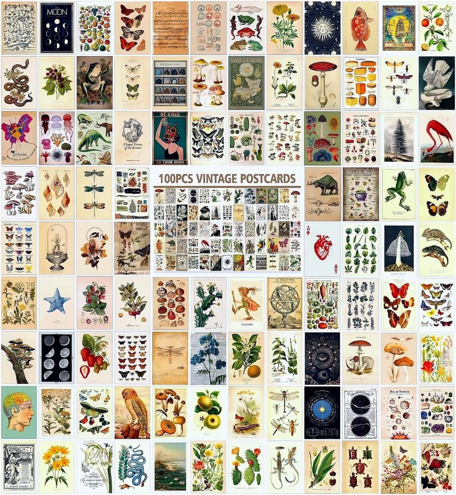 PIXILUV Vintage Postcards (24 pcs 4"x6" each) Amazing