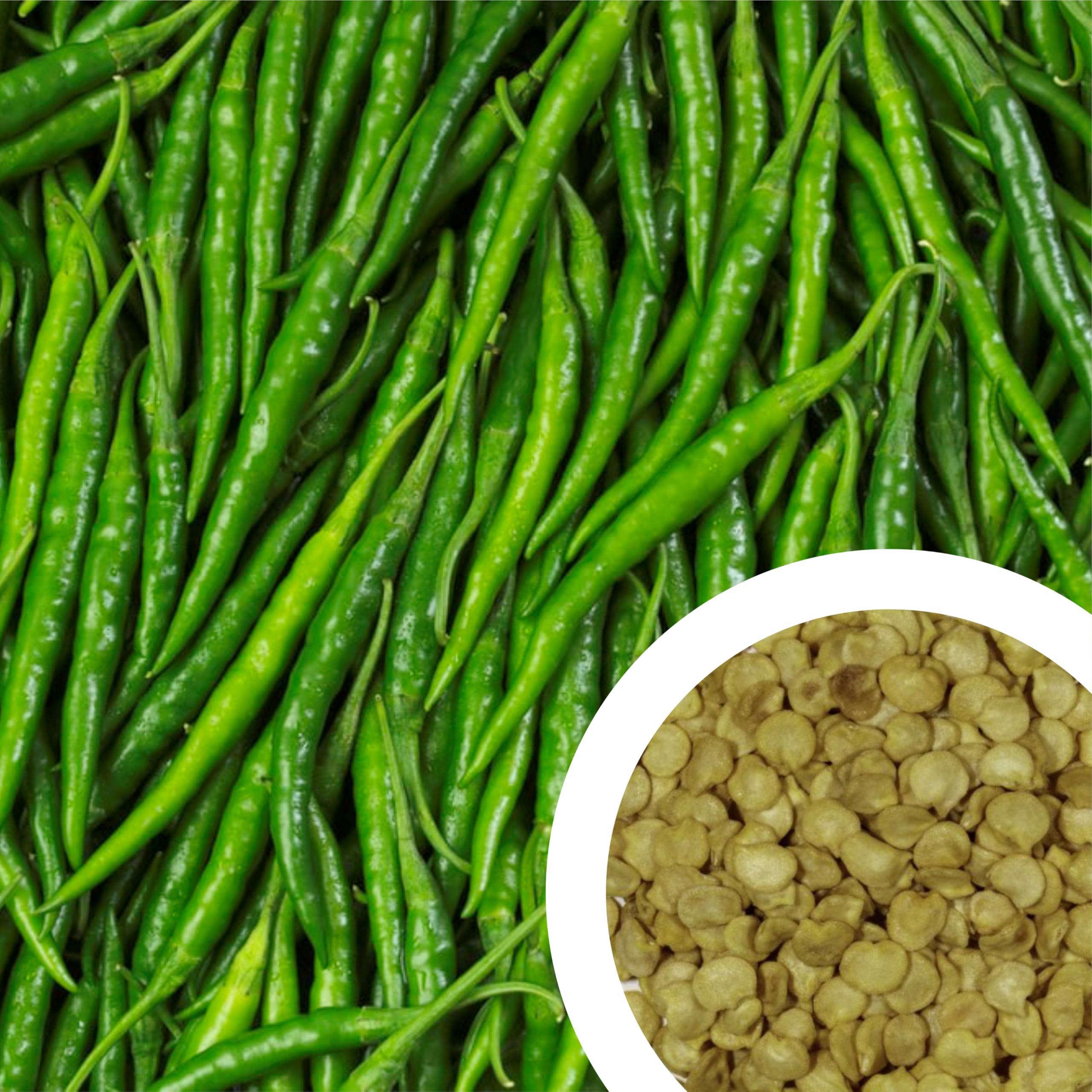 GROW DELIGHT Hot Pepper (Chilli, Hari Mirch) (100 Seeds) Vegetable Seeds for Home Garden, Organic & Hybrid, Perfect for Home Gardening, Planting For Pots and Patio (B0CNTHY32J) Amazon Price History, Amazon Price Tracker