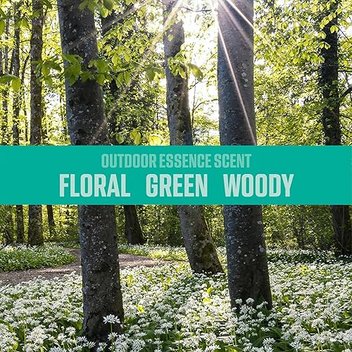 Miniatura 8 de Ozium Desinfectante de aire y eliminador de olores, paquete de 4 unidades para hogares, automóviles, oficinas y más, esencia al aire libre, paquete