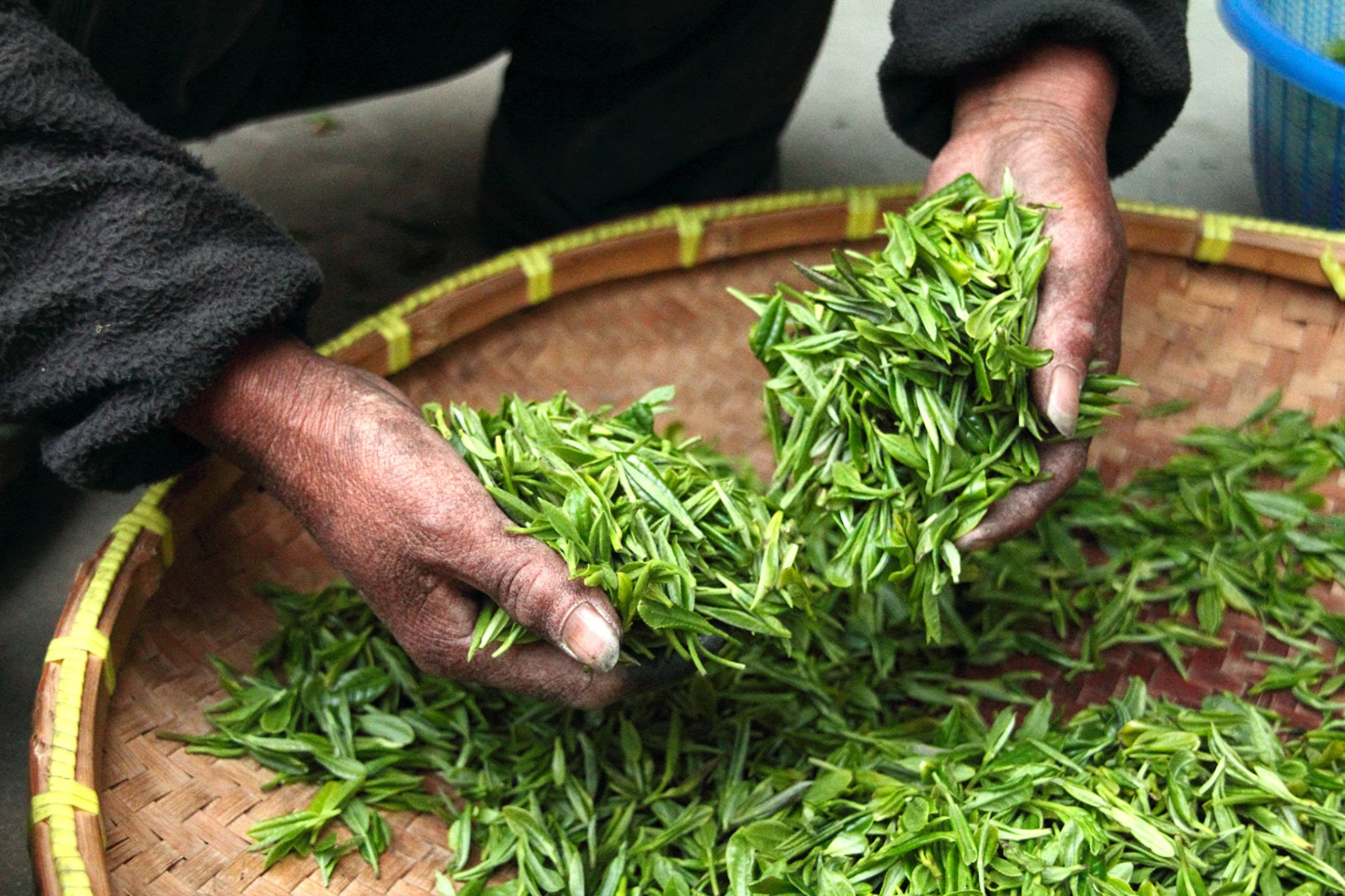 1 kg BIO Schwarzer Tee Darjeeling k.b.A. SFTGFOP1 Steinthal DE-ÖKO-006