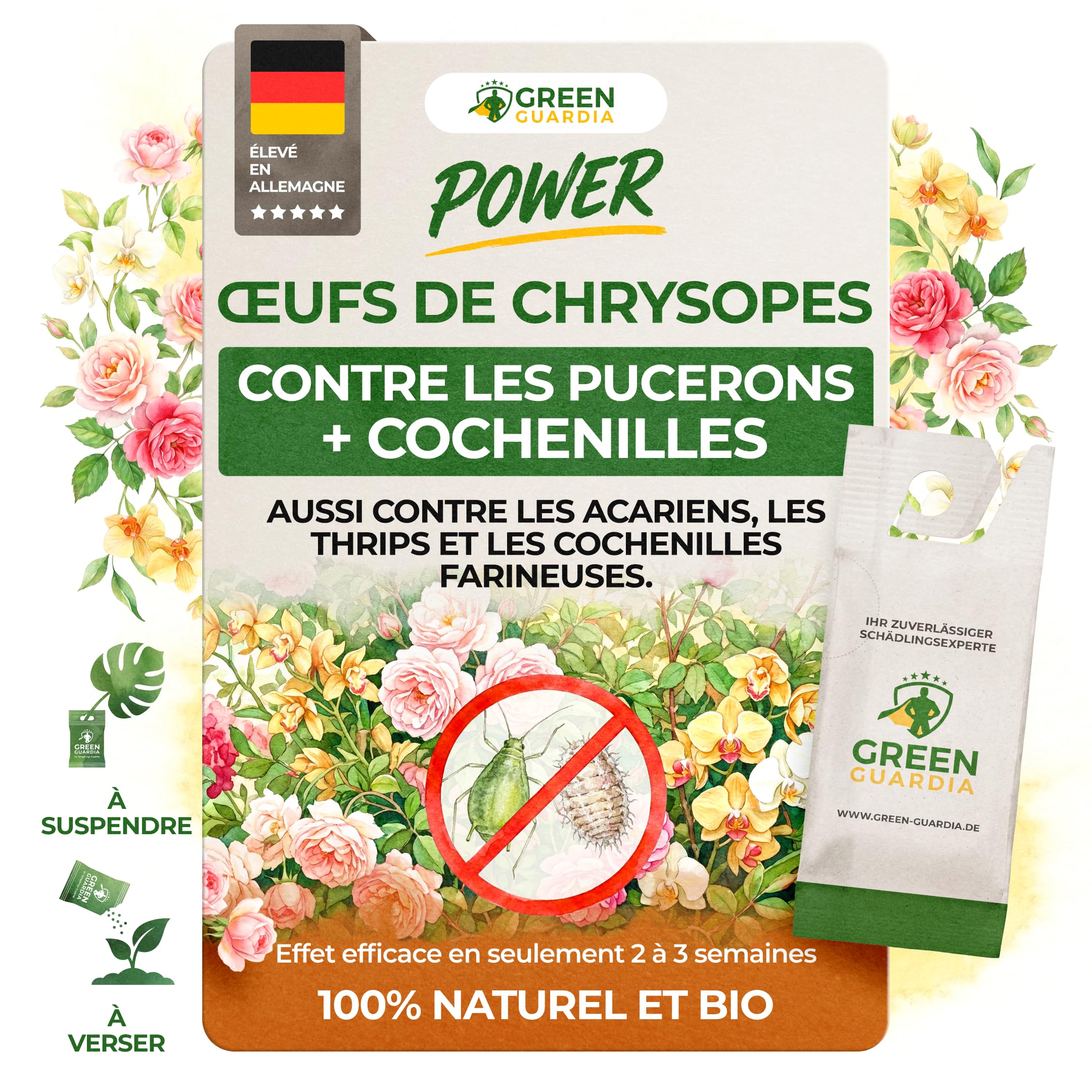 GREEN GUARDIA Power Œufs de larves de chrysopes contre les pucerons et les cochenilles farineuses – 1x sachet – Moyen biologique pour lutter efficacement contre les pucerons et les cochenilles