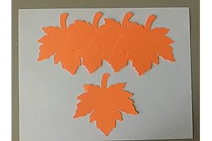 25 Large Fall Leaves Die Cuts: Autumn Leaves for Leaf Paper Piecing