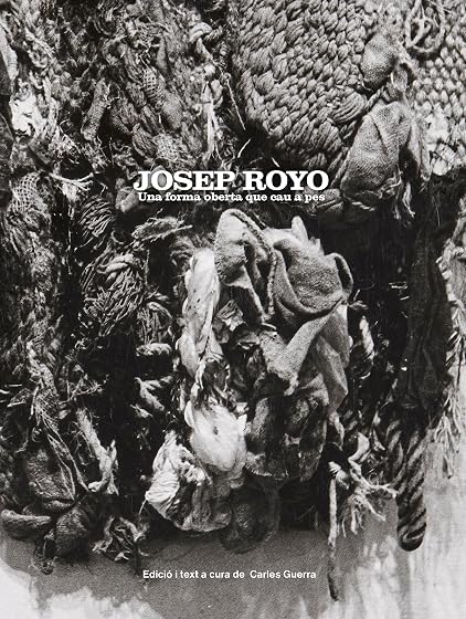 Josep Royo una Forma Oberta Que Cau a Pes