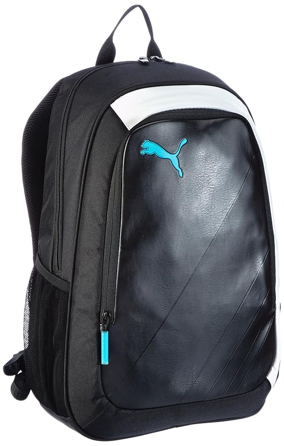 puma king bag