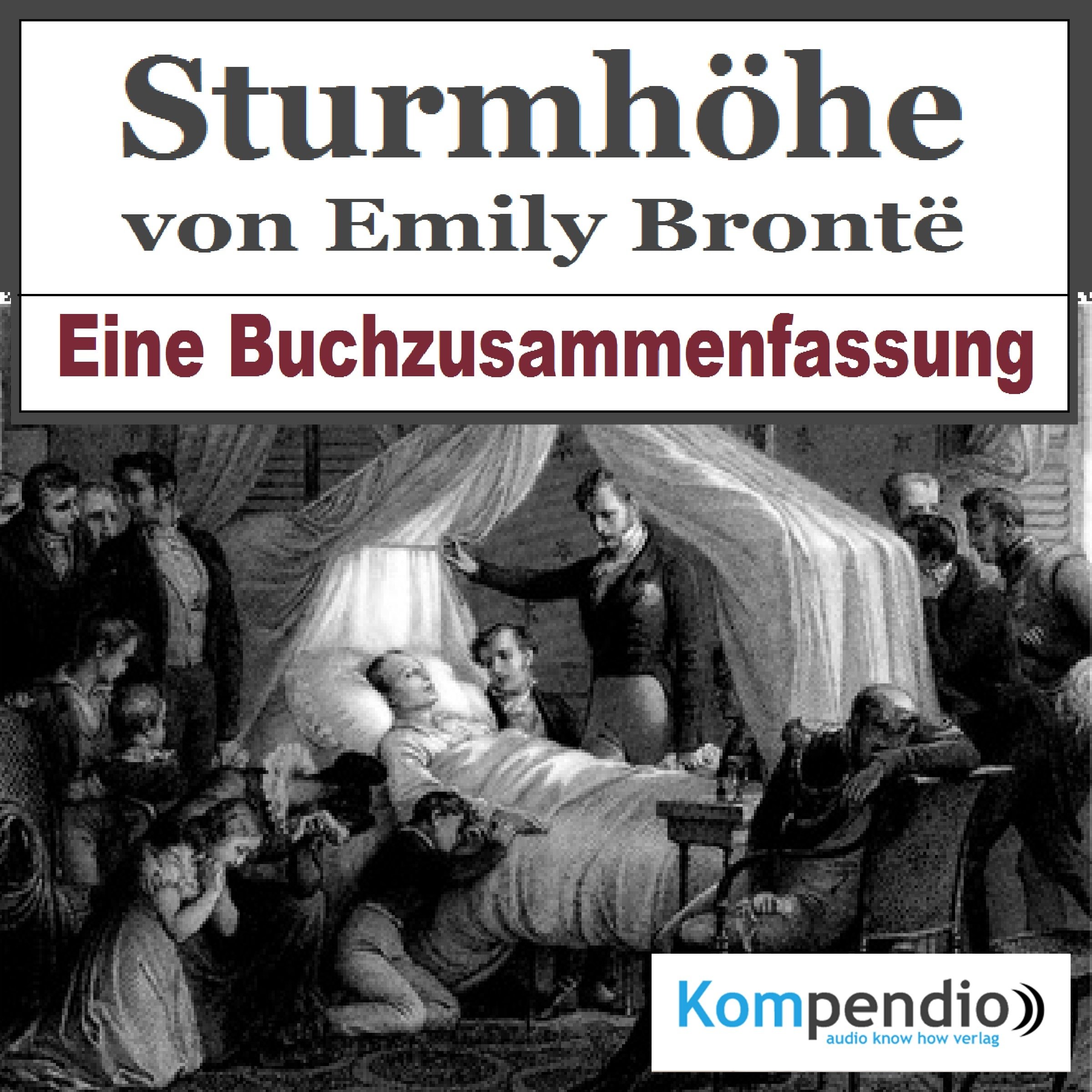 Sturmhöhe: Eine Buchzusammenfassung
