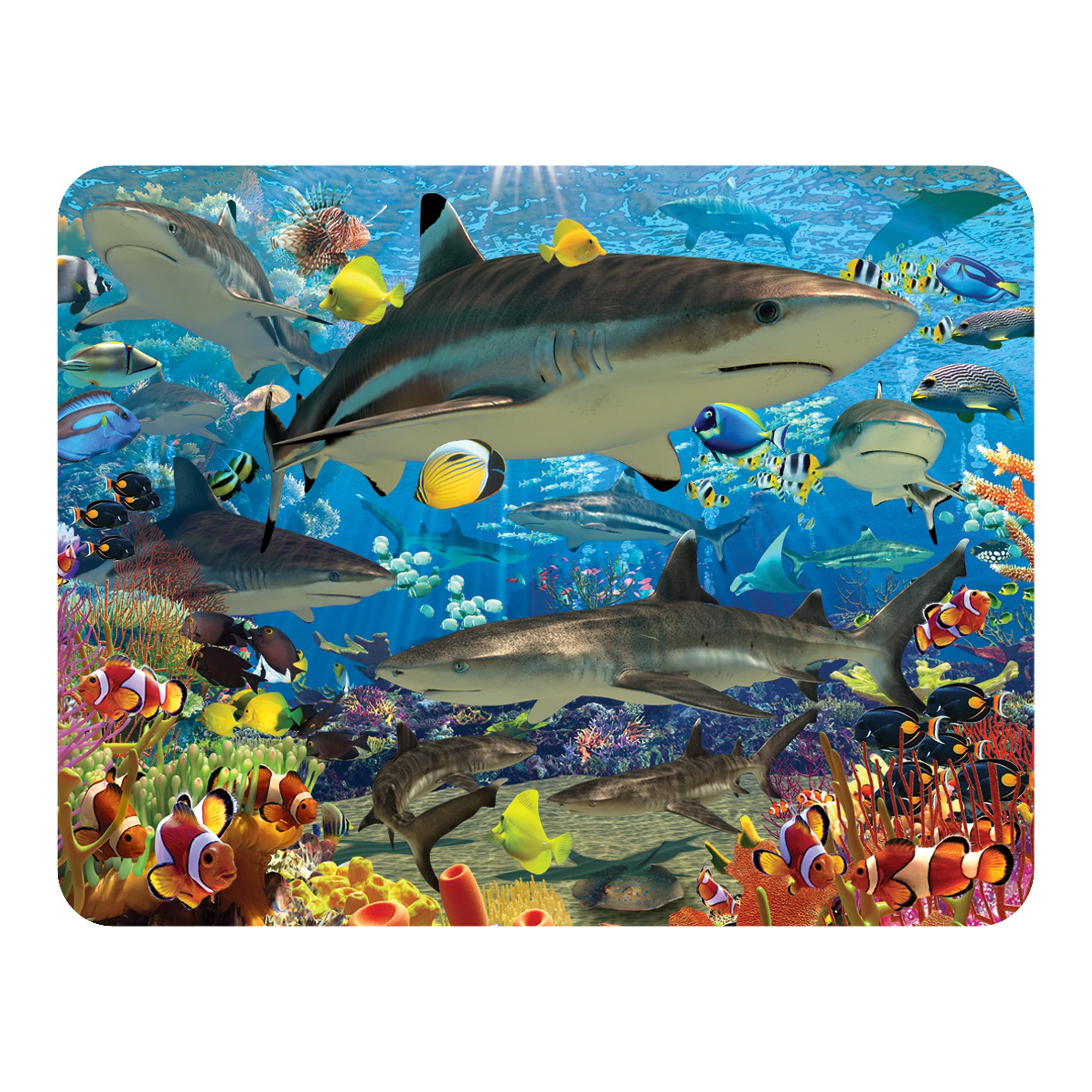 3D Livelife Shark Reef Magnet - From Deluxebase. Lenticular Ocean Fridge Magnet. Decorative 3D Shark Flat Magnets. Cute Small Magnets For Fridge, Dishwasher And Whiteboard.
