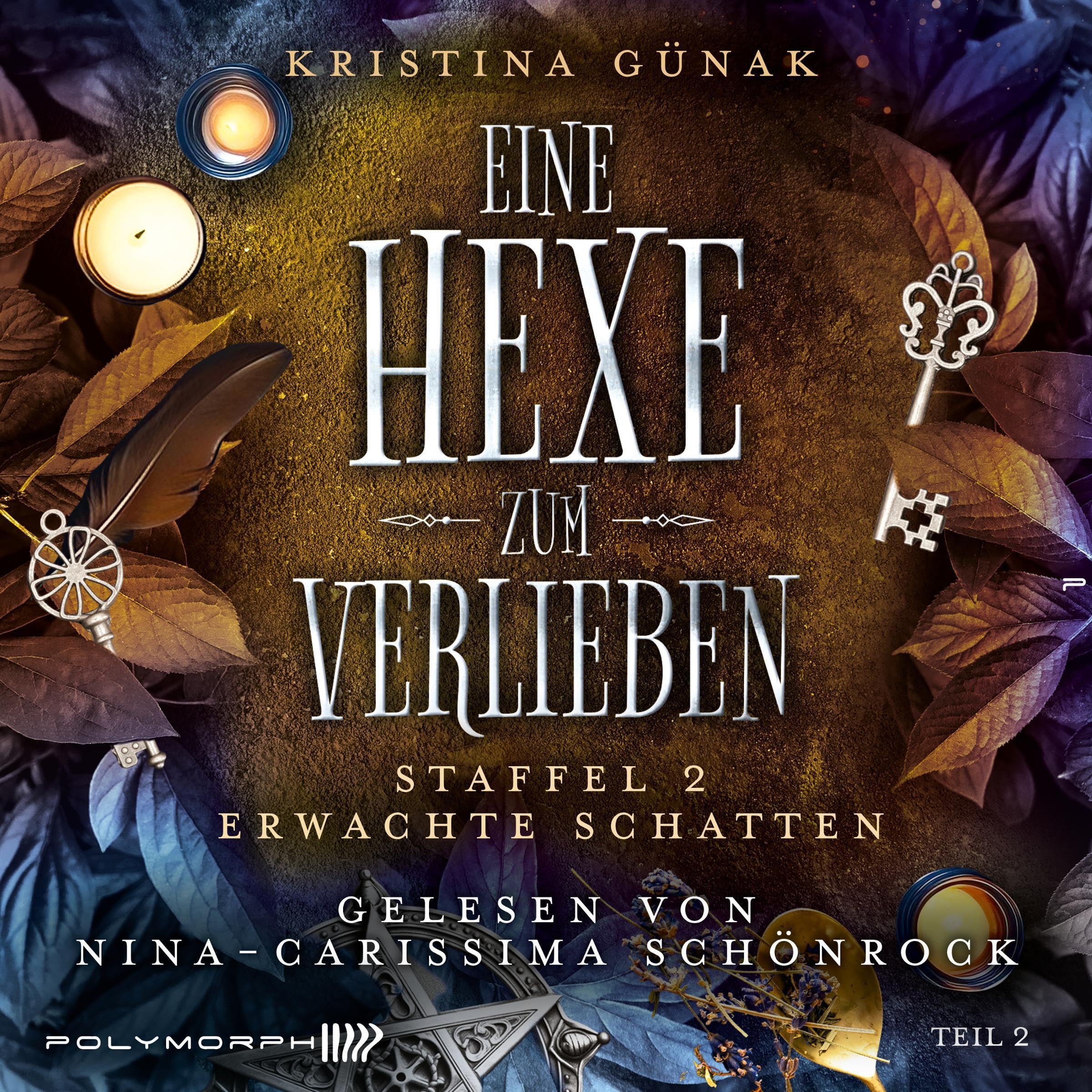 Cover art for Erwachte Schatten