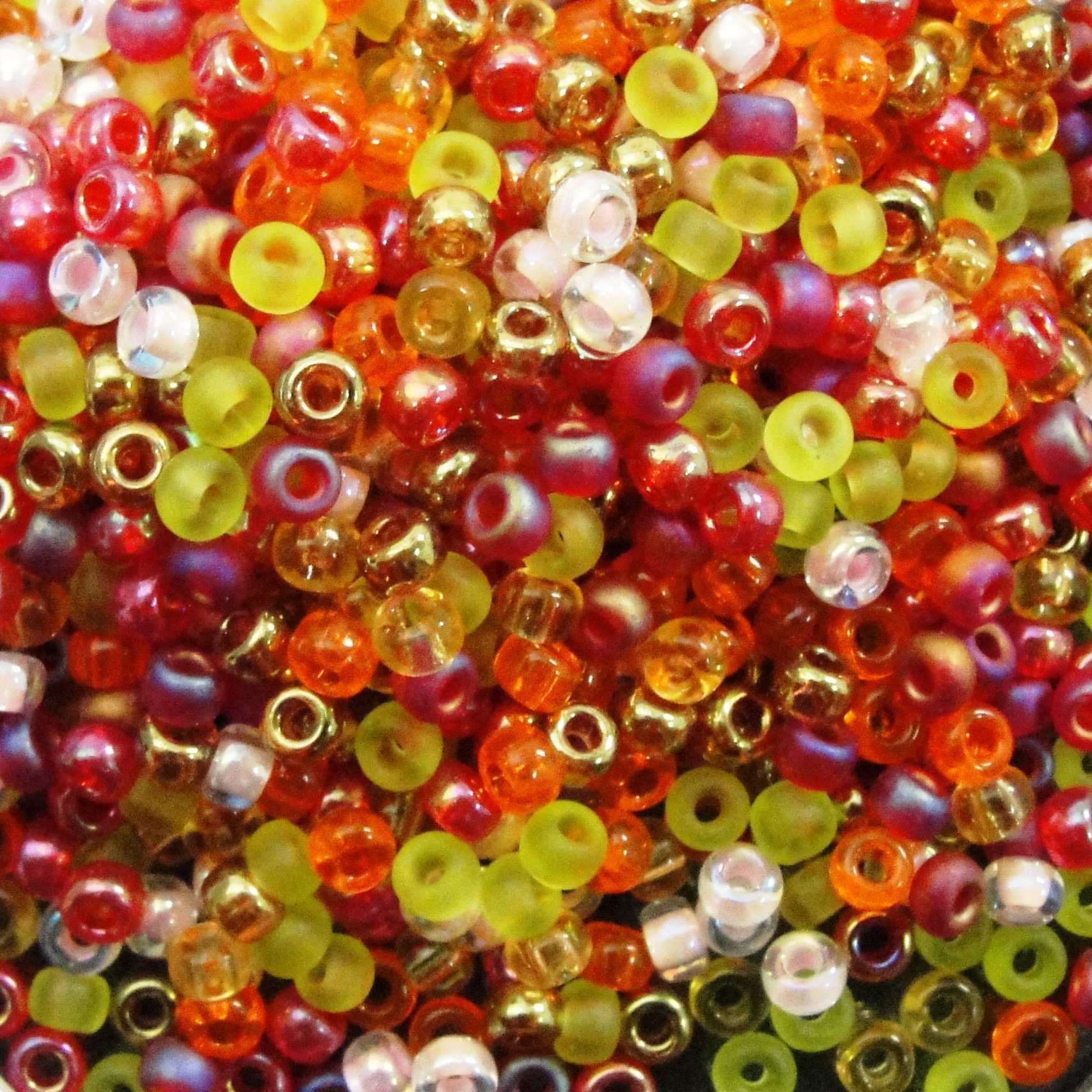 MiyukiRound Seed Beads Size 8/0 22g Tango Mix