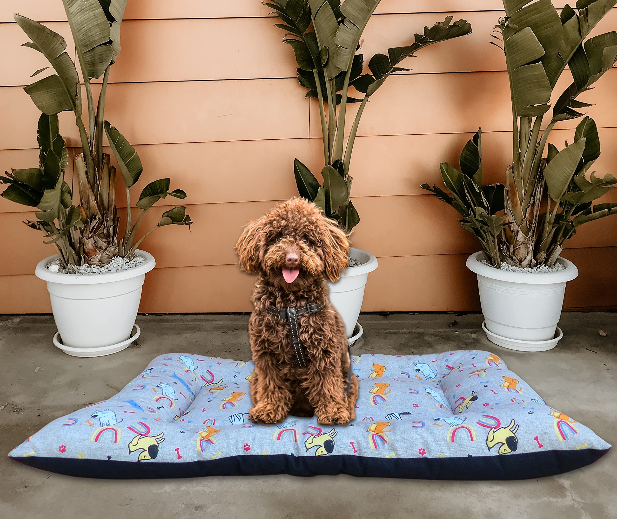 Cama Perro Grande o Mediano - Cojín, Alfombra, Colchón o Colchoneta de Mascota para Suelo, Lavable, 85x65 cm (Large, Arcoiris)