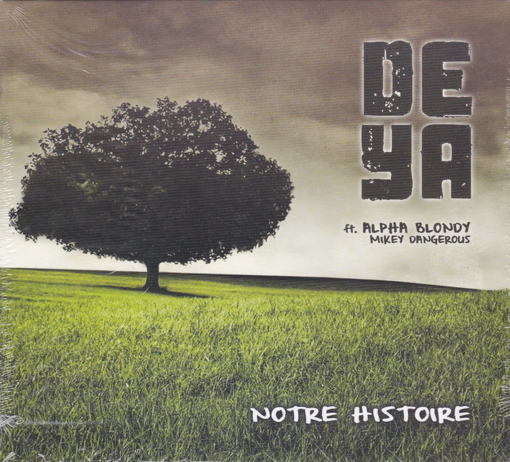 Deya - Notre Histoire (Ft. Alpha Blondy, Mikey Dangerous) [Audio CD] Deya [Audio CD] Deya