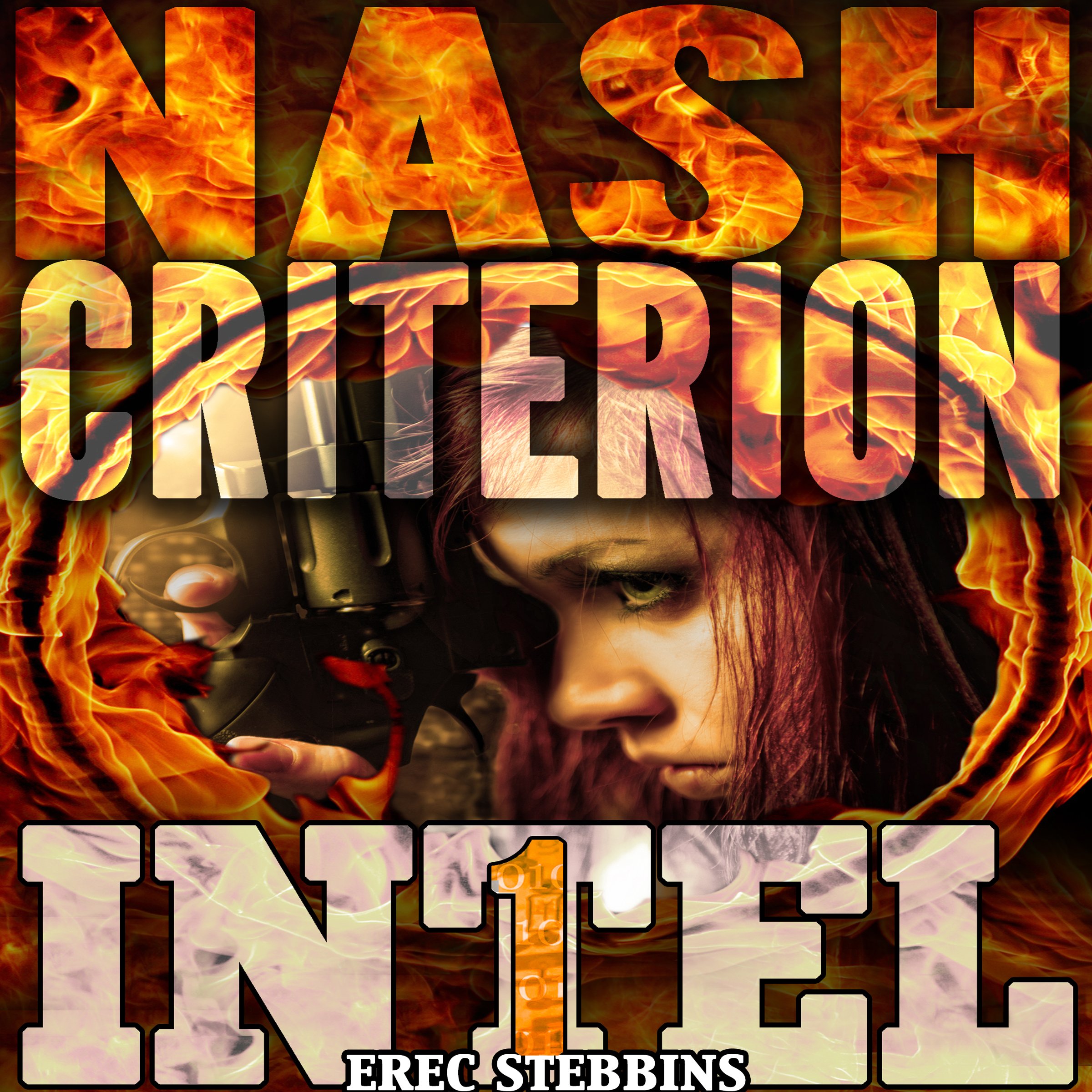 Cover art for The Nash Criterion