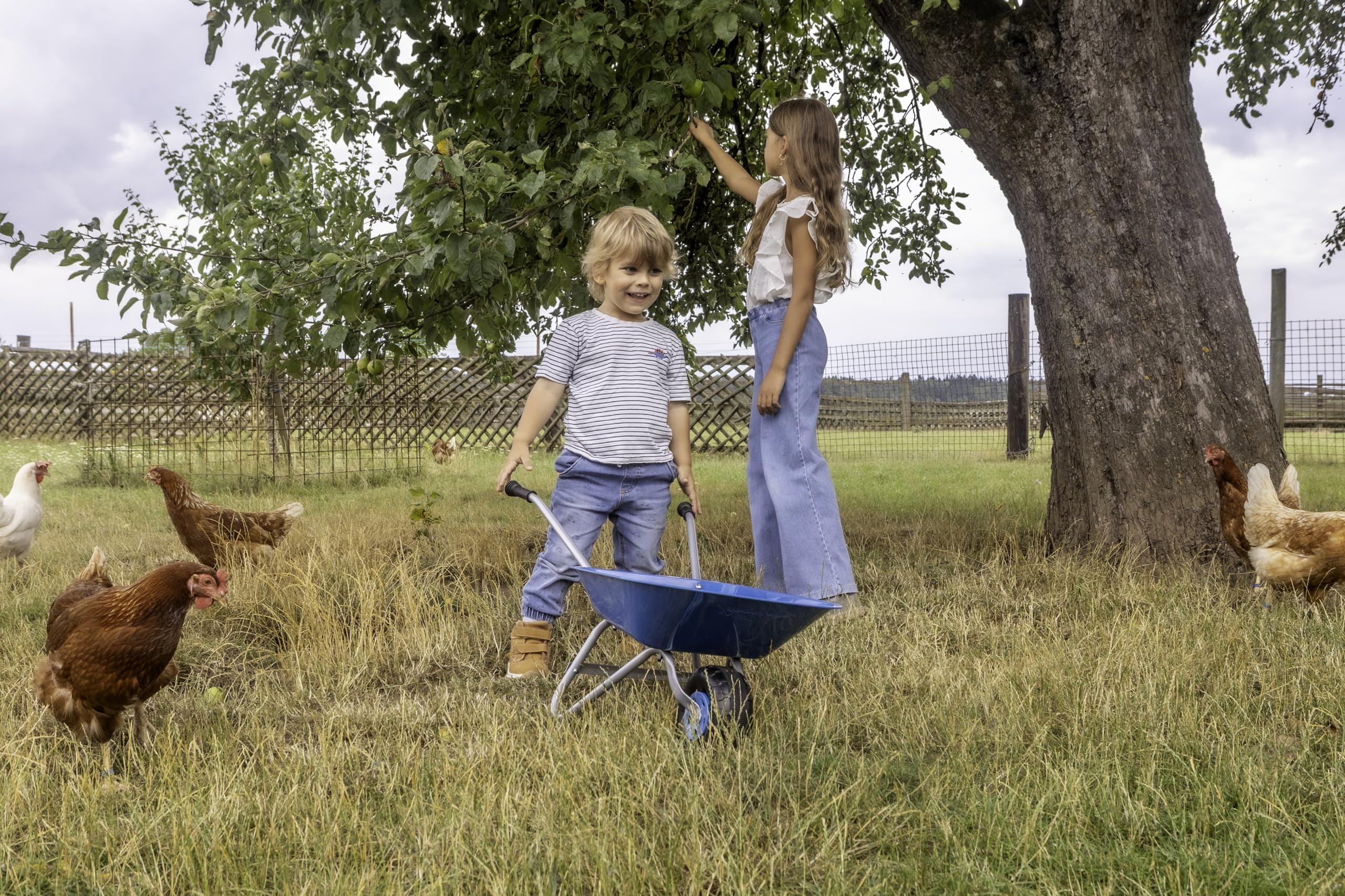 Outdoor Active 560 - Carretilla metálica para niños