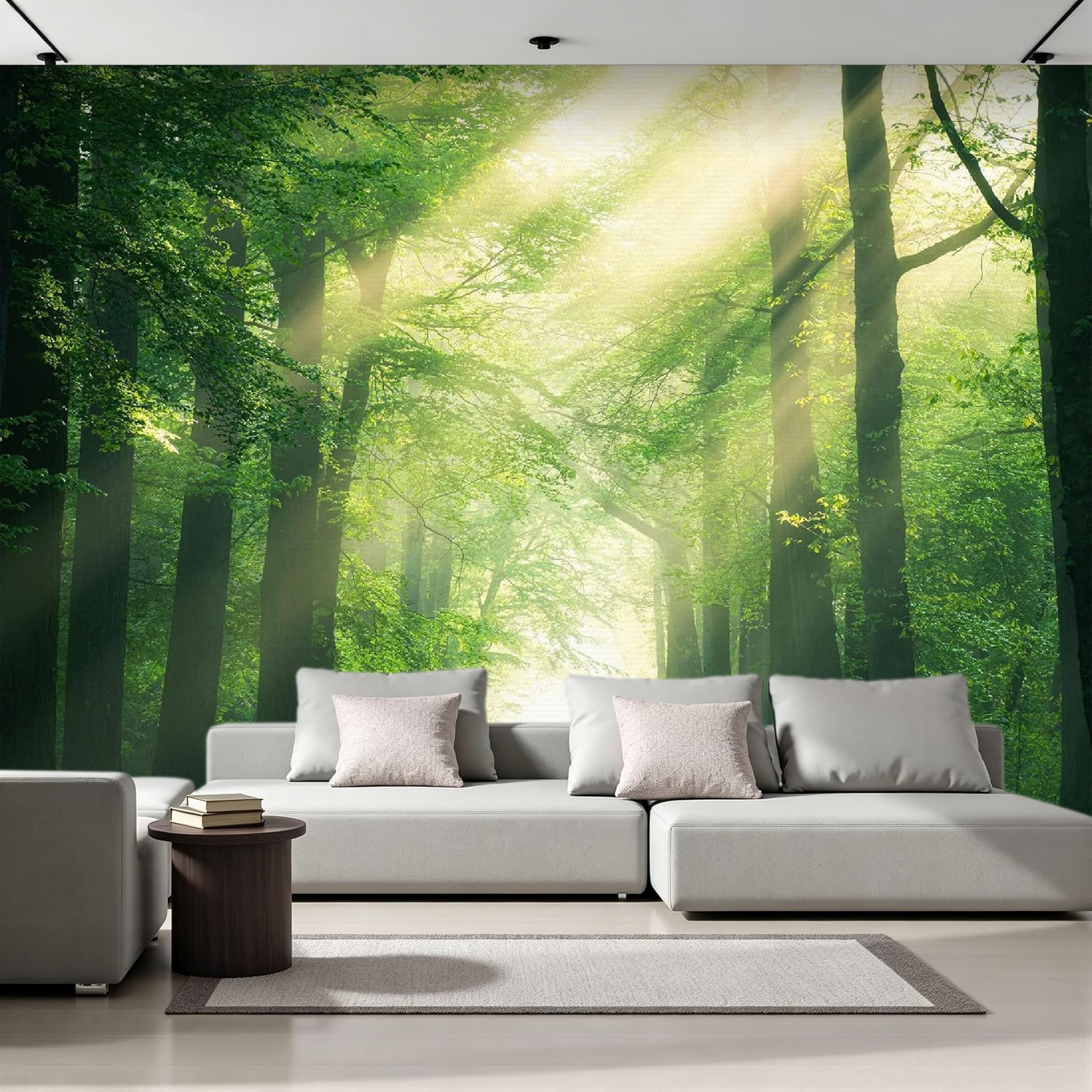 Papier peint panoramique mat effet Tyndall poster photo mural 366x254