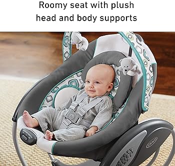 wind up baby swing amazon