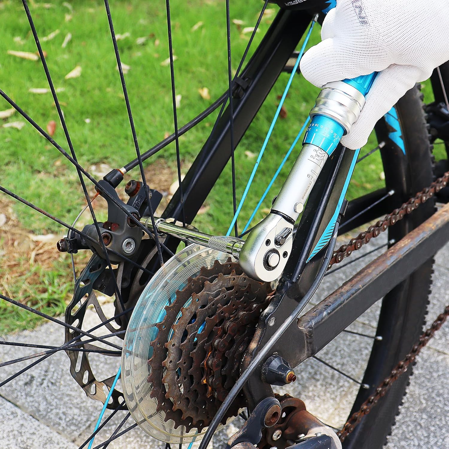 1/4 Inch Drive Click Torque Wrench Set - 10-50 in./lbs(1-6 Nm) - For Bicycle,Scope Mounting, Gunsmithing and Maintenance