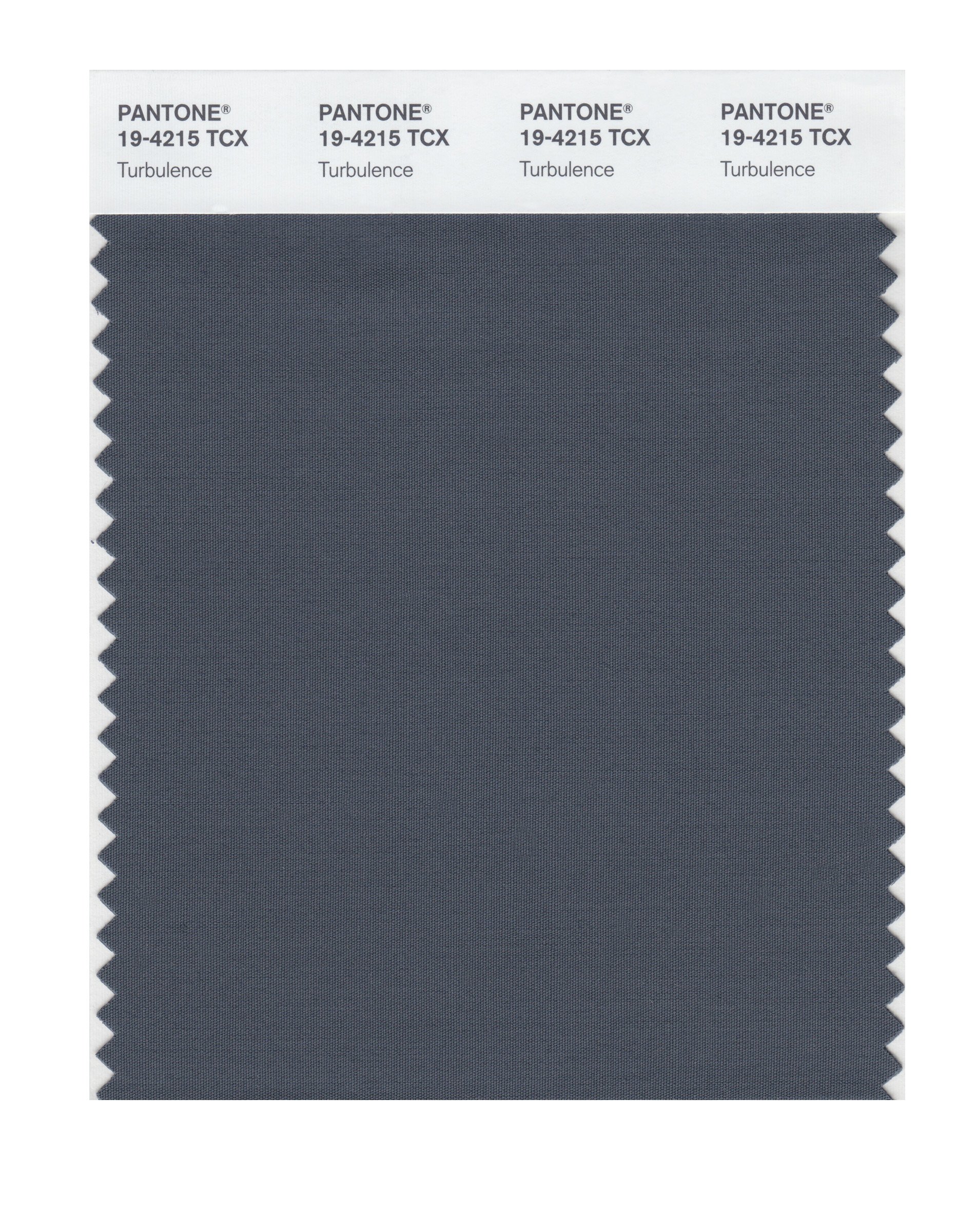 PANTONE Smart 19-4215X Color Swatch Card, Turbulence