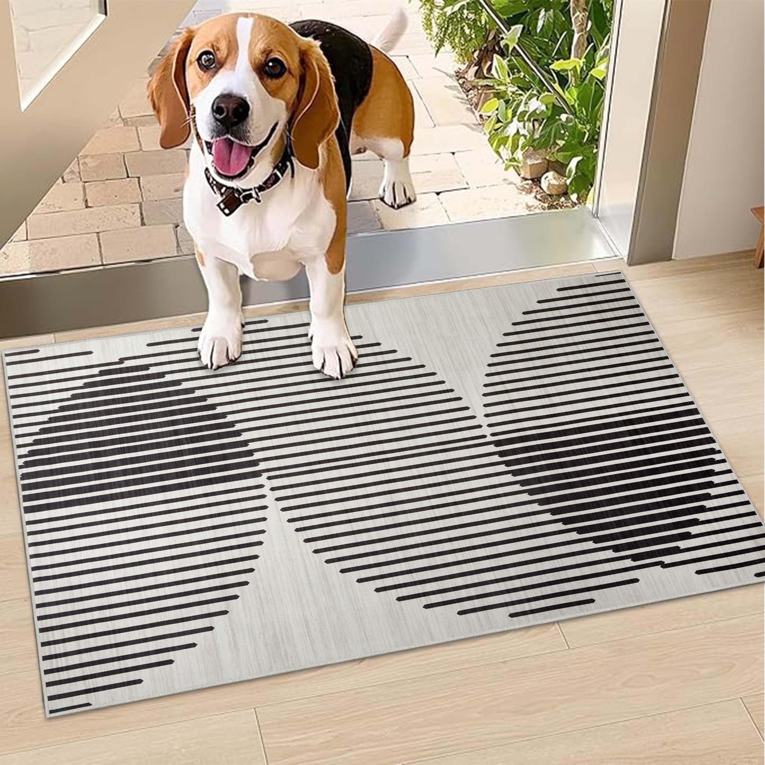 Hafaa Door Mat Indoor & Outdoor - Non Slip Heavy Duty Doormats - Stylish & Printed Mat - Perfect Dust Grabbing Shoes Scrapper Door Mats (Jett, 60cm x 110cm)