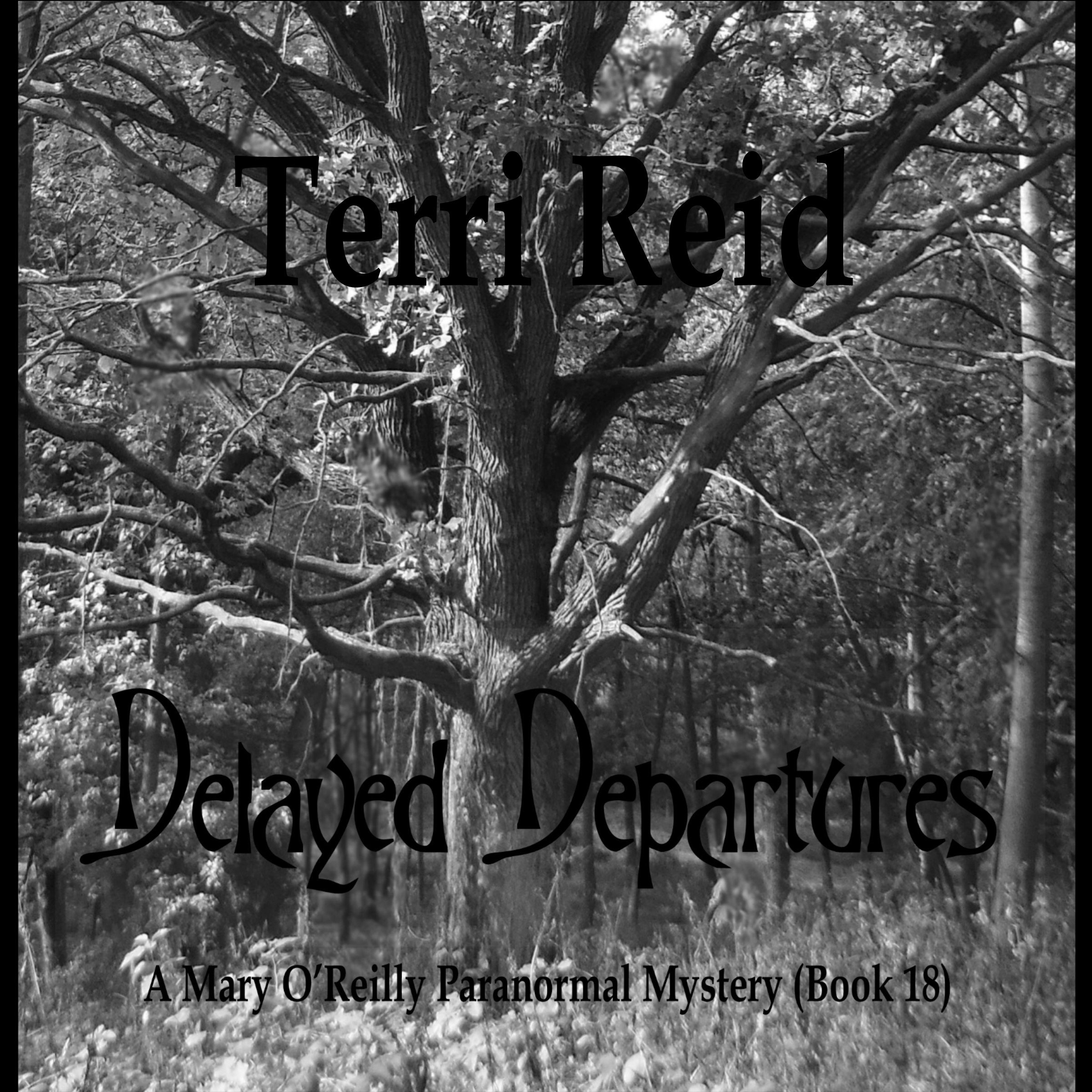 Cover art for Delayed Departures