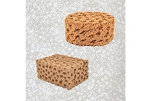 Hanroy Texture Sponges for Artists