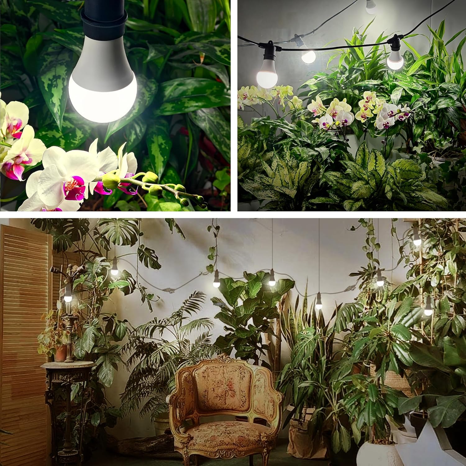Hanging Grow Light 5000K, Briignite 3 Grow Light Bulbs with 8.86ft Power Cord, Replaceable Bulbs E26 Base, Linkable Hanging Plant Light, LED Full Spectrum Grow Lights for Indoor Plants 300W Equivalent