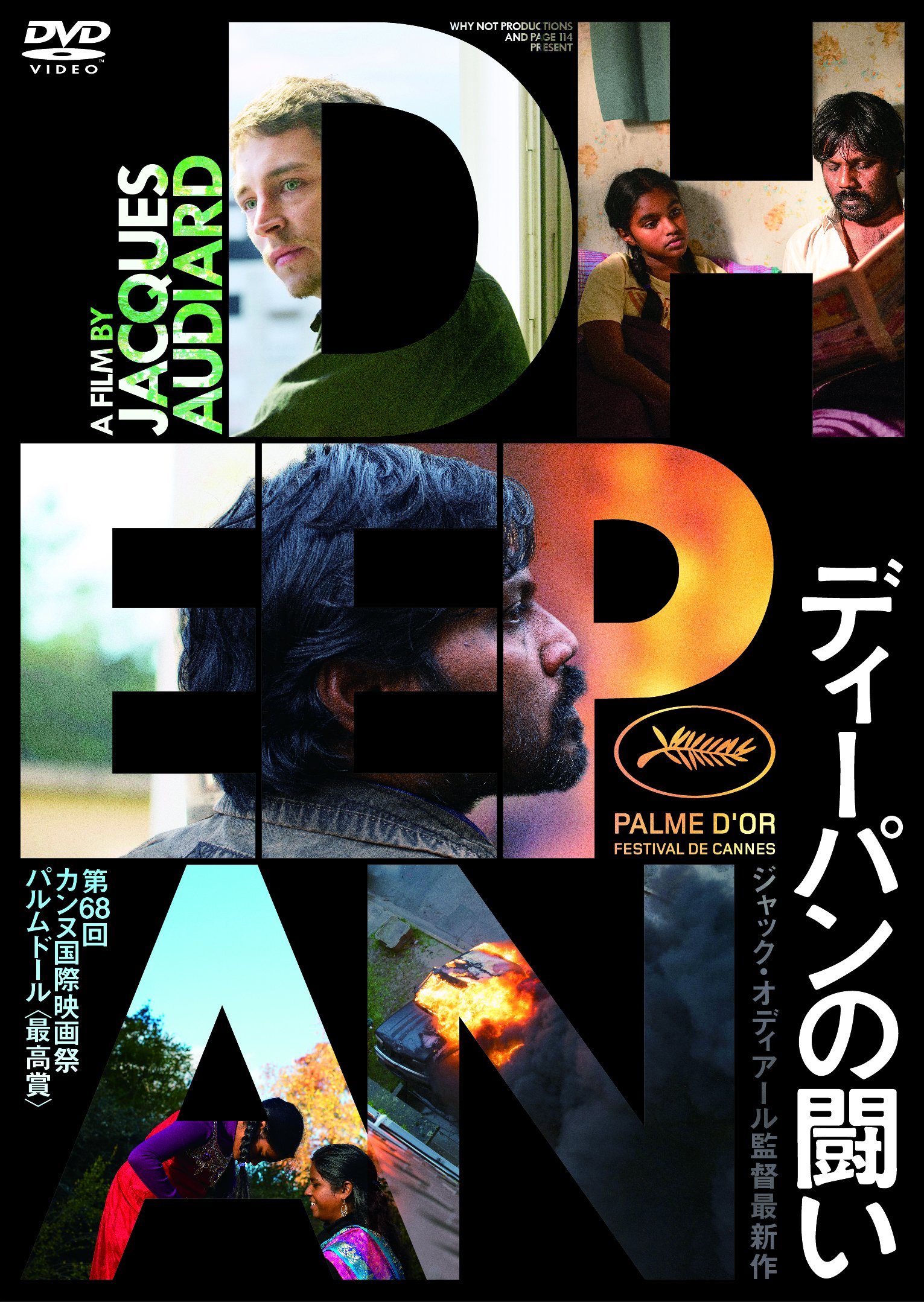 dyi-pan of Fighting DVD