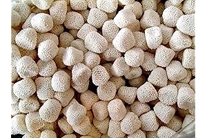 CandyKorner Champagne Bubbles