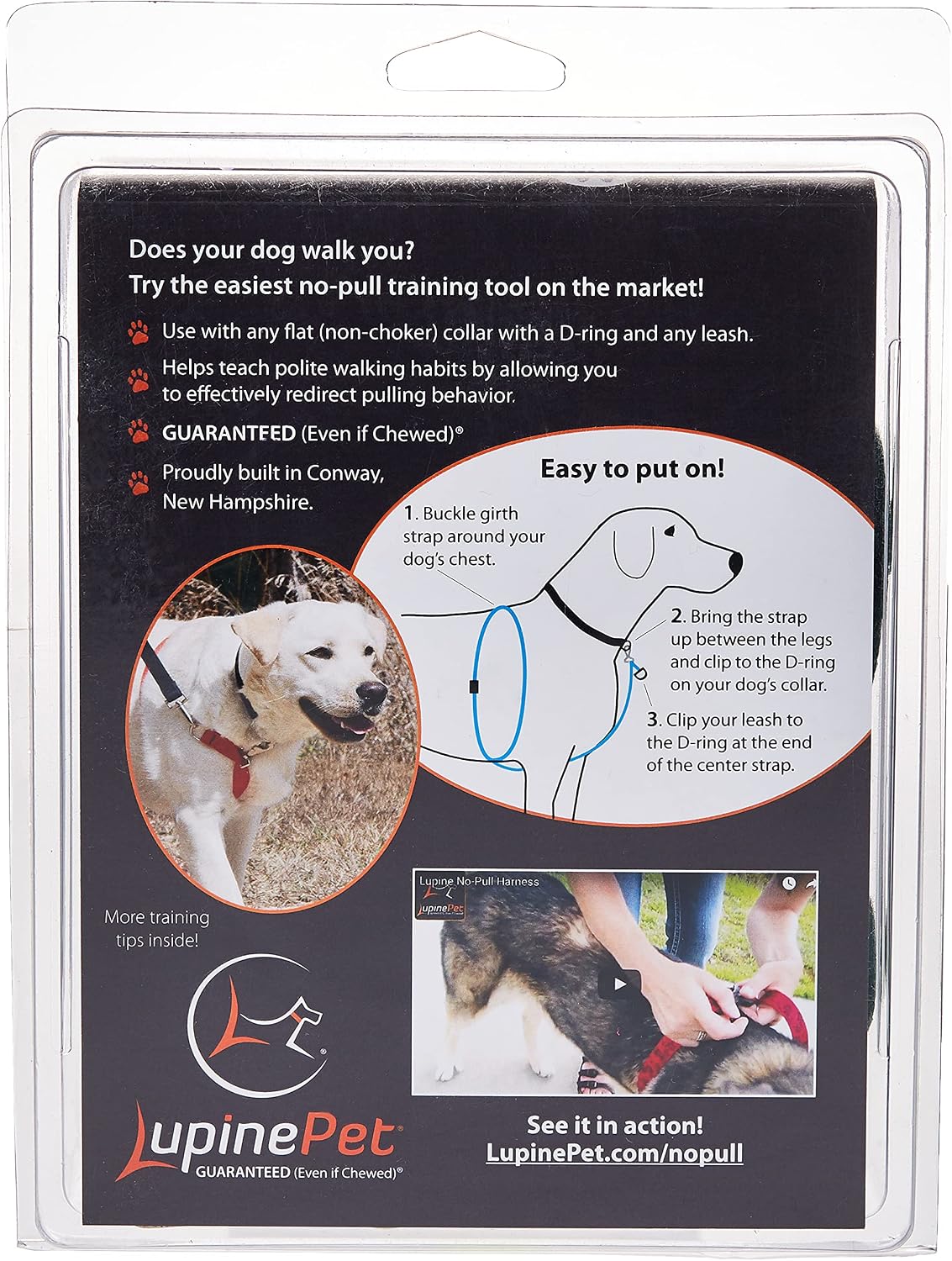 LupinePet Basics 1" Green 26-38" No Pull Harness for Medium-Larger Dogs