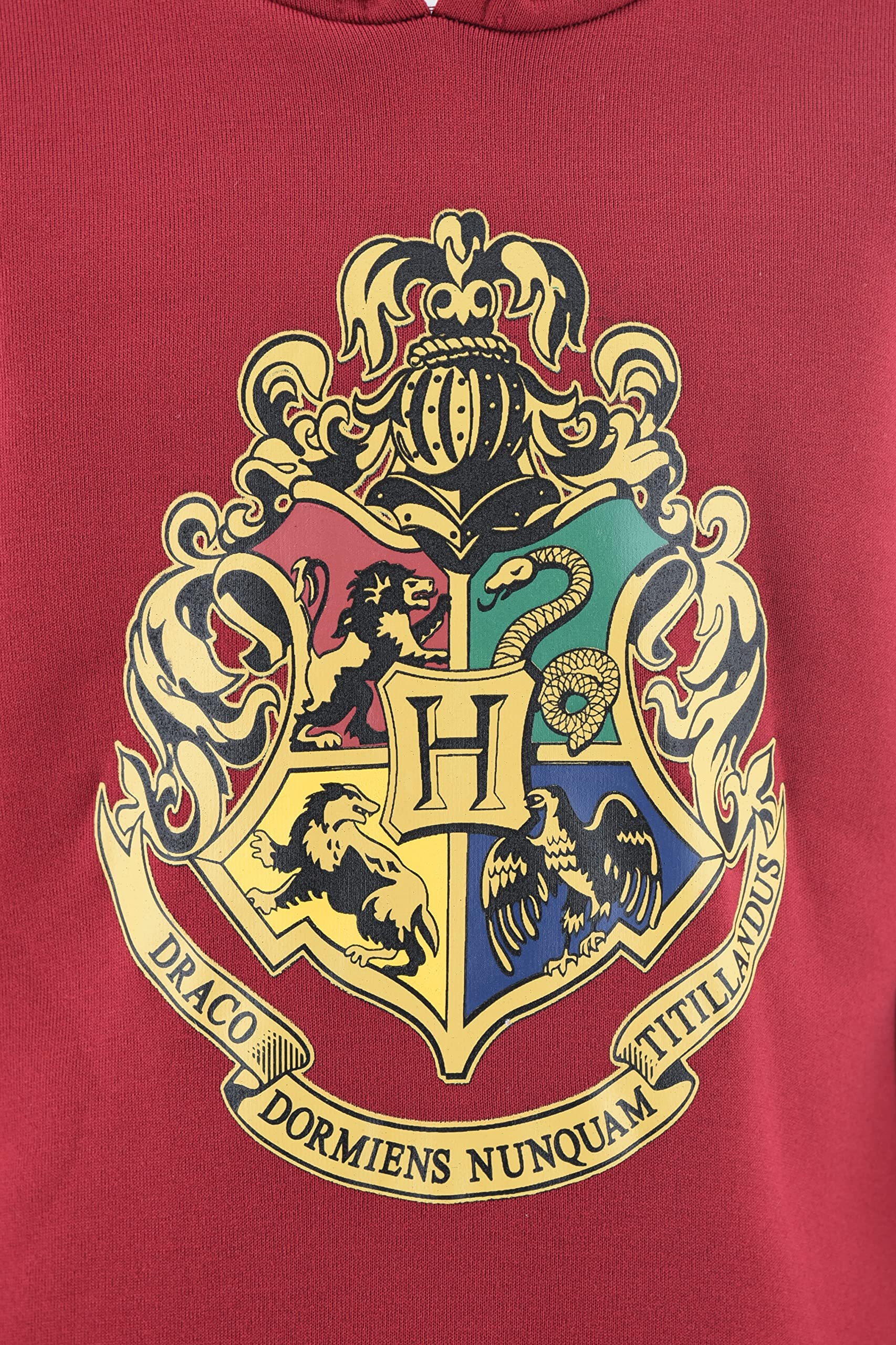Harry Potter Niños Sudadera